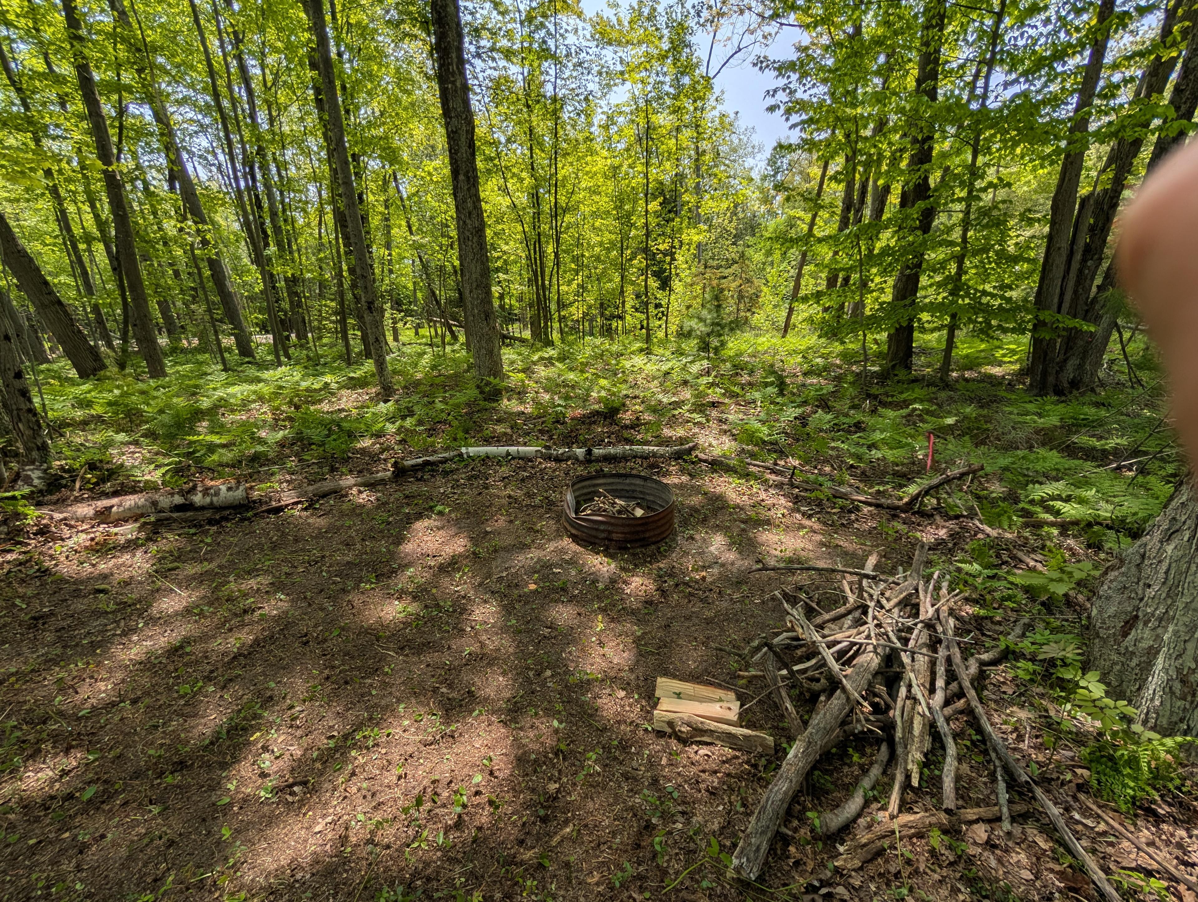 Lake Huron Wooded Retreat 🚗🏕️🏖️