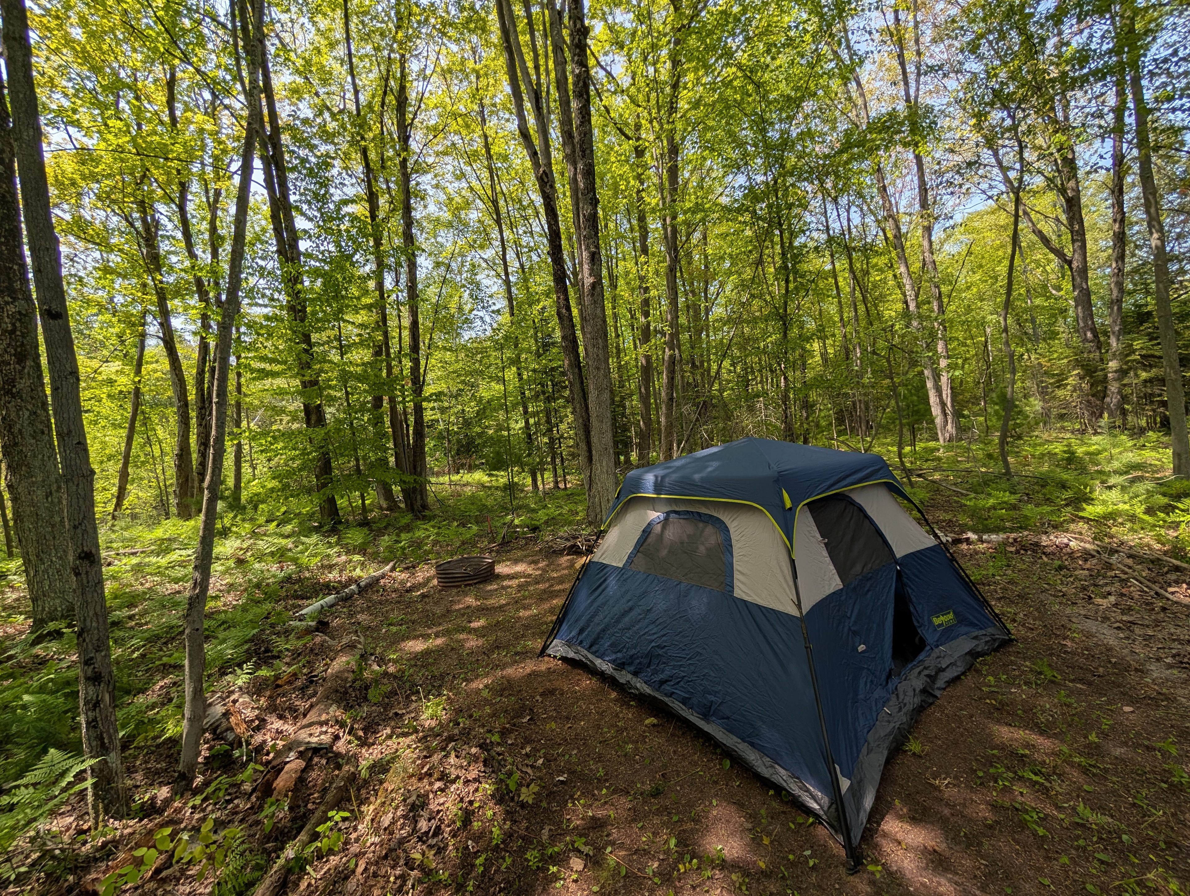 Lake Huron Wooded Retreat 🚗🏕️🏖️