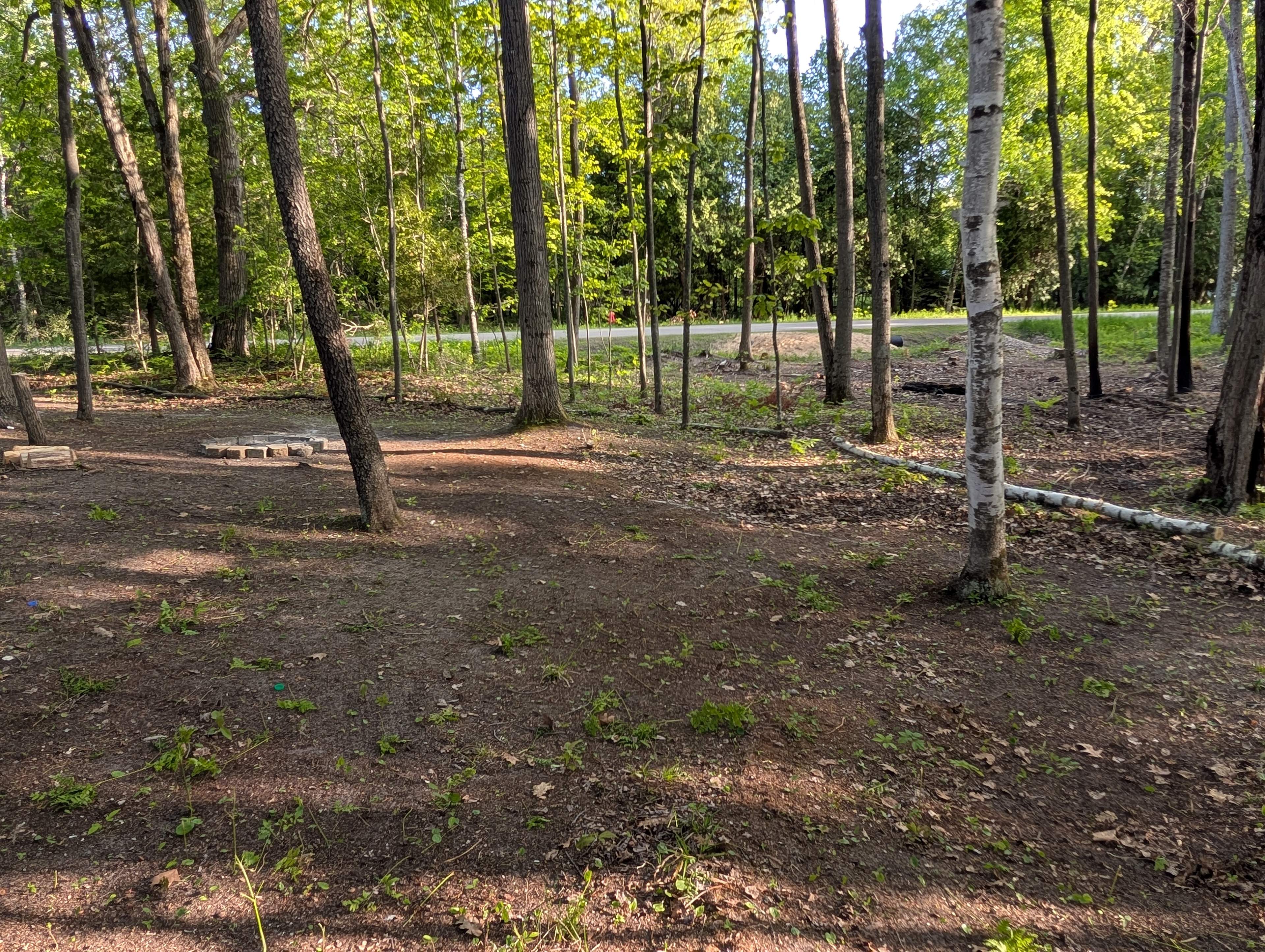 Lake Huron Wooded Retreat 🚗🏕️🏖️