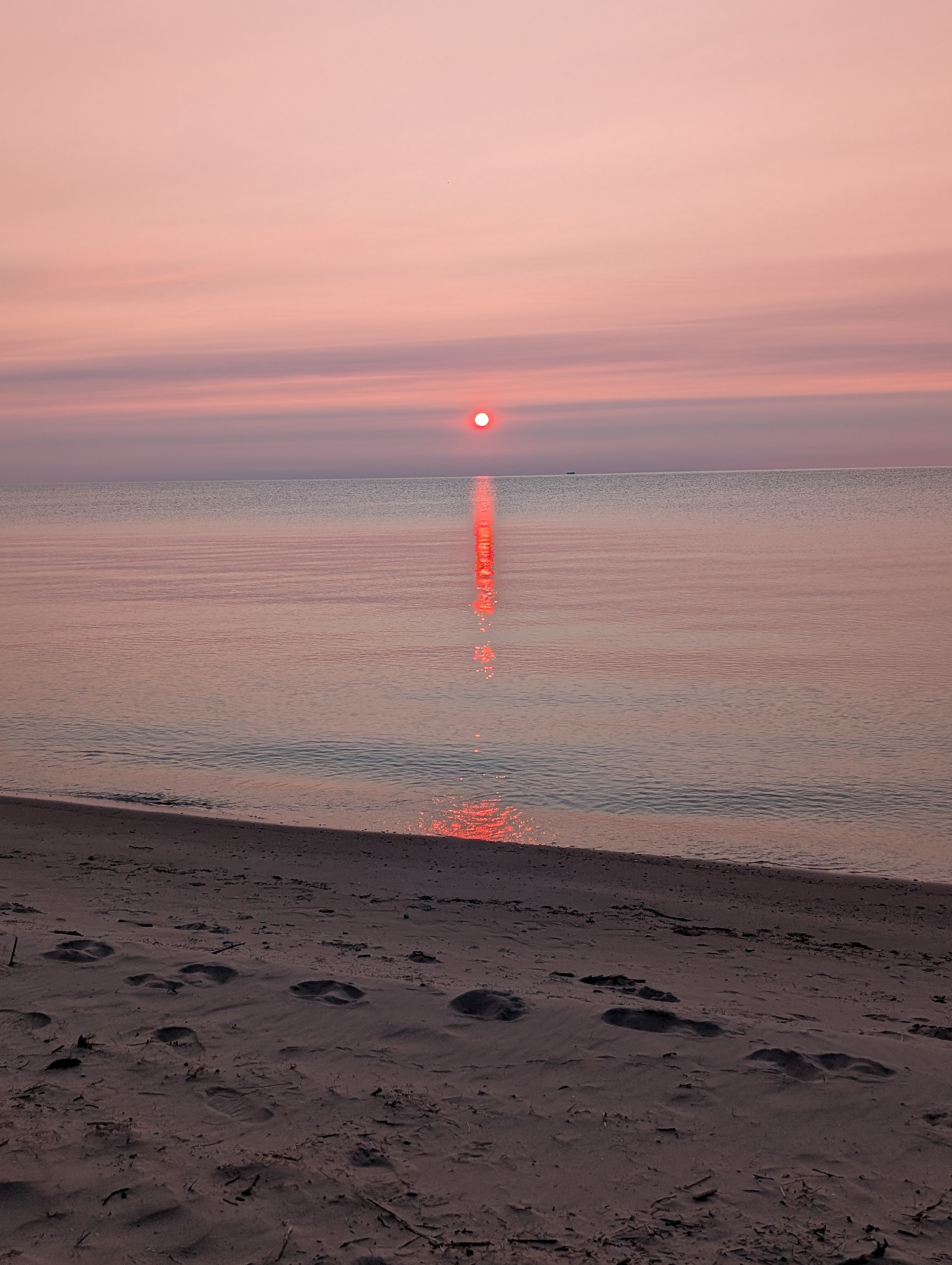 Lake Huron Wooded Retreat 🚗🏕️🏖️