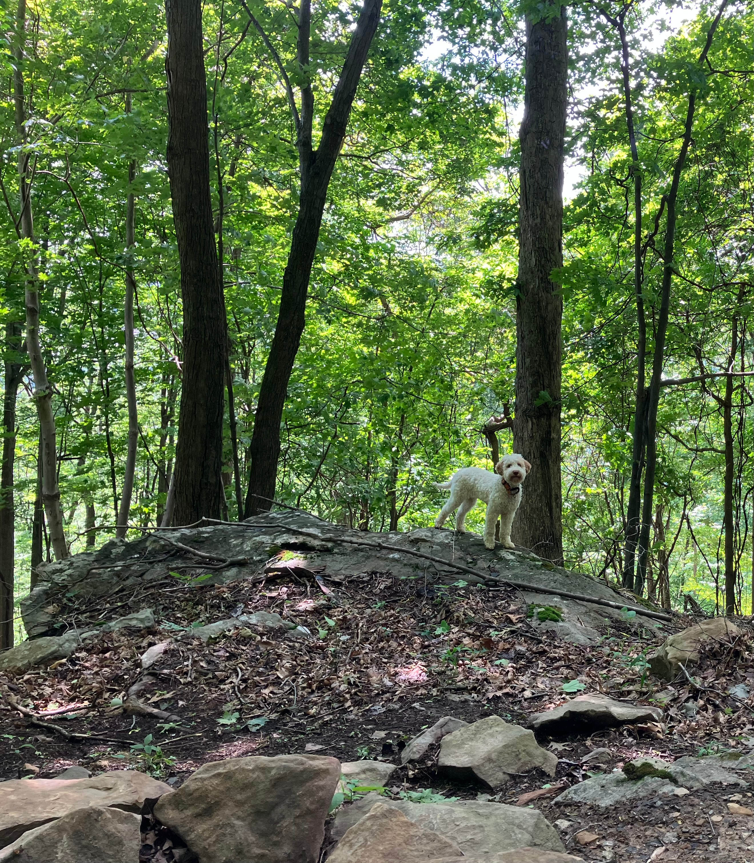 Barnum Cliffs Campground