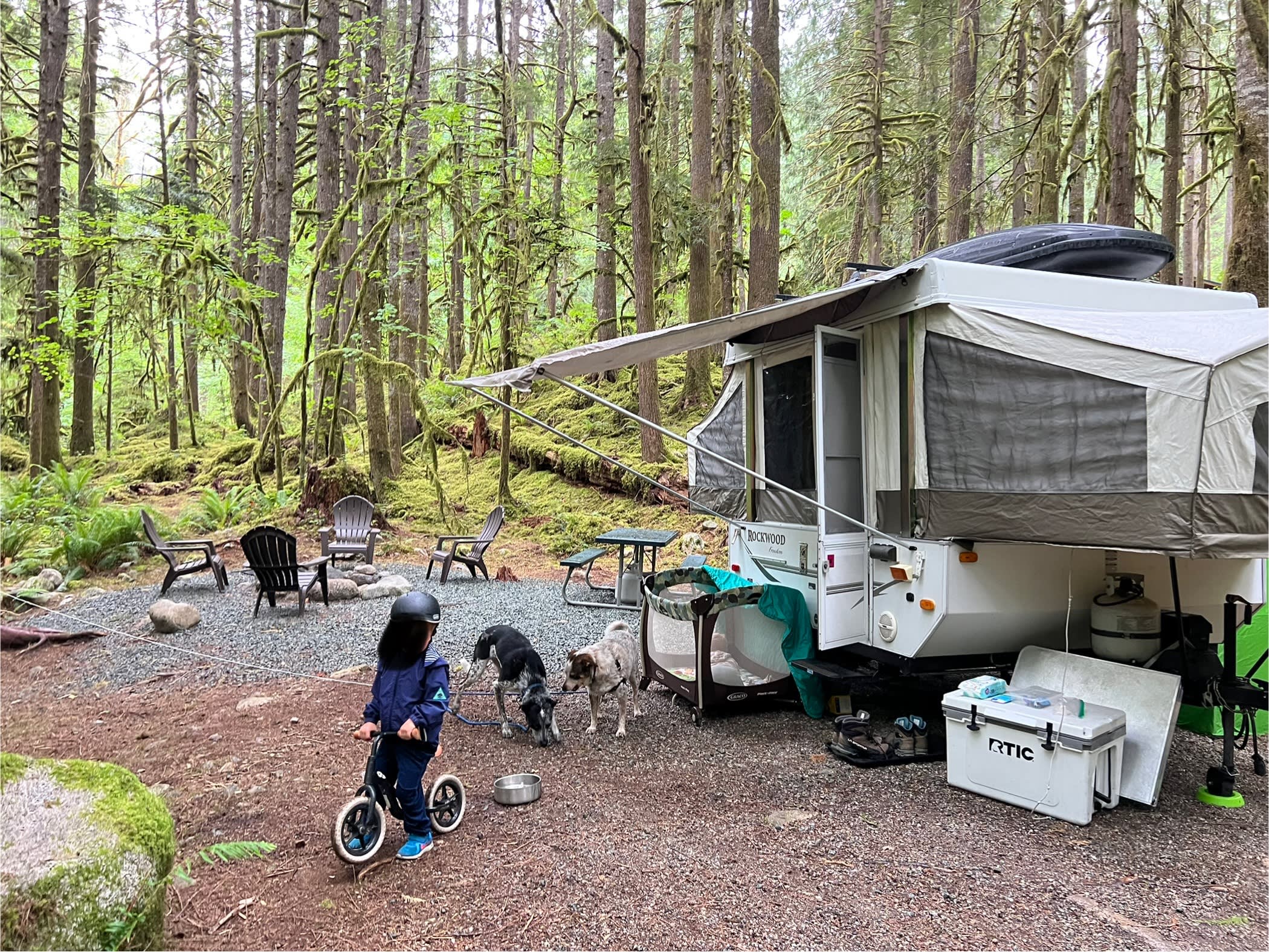 Winedown Camp at Boulder Creek