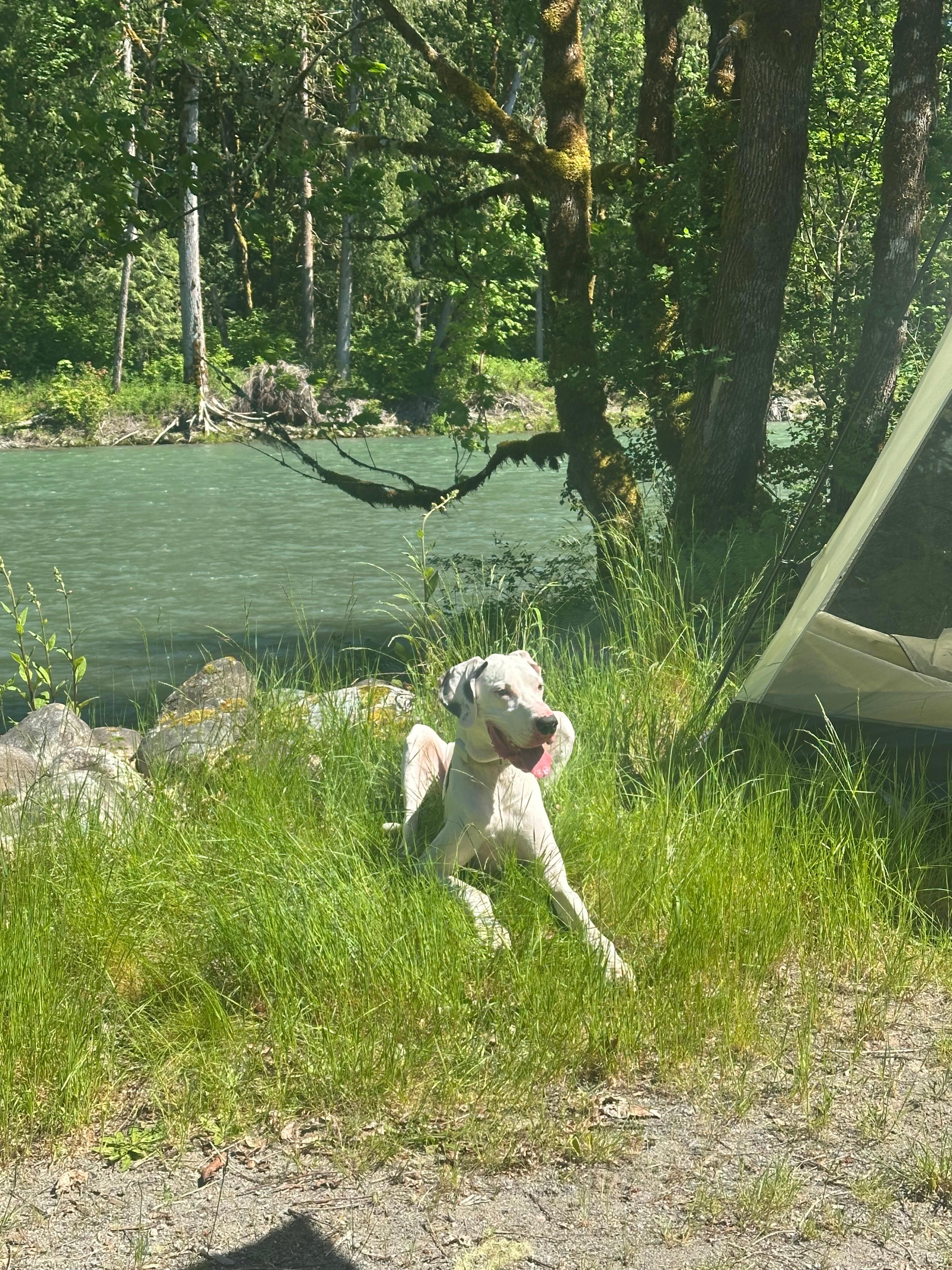 Buster's on the Sauk River