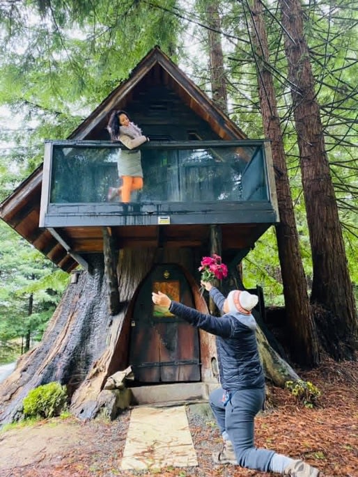 Redwood Family Camp