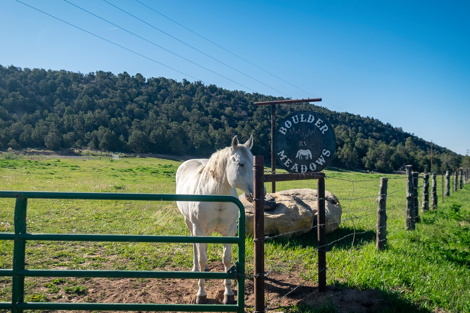Boulder Meadows