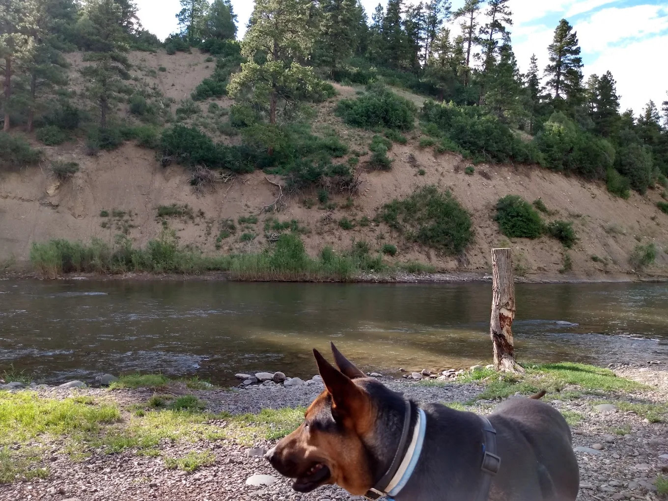 Pagosa Riverside Campground