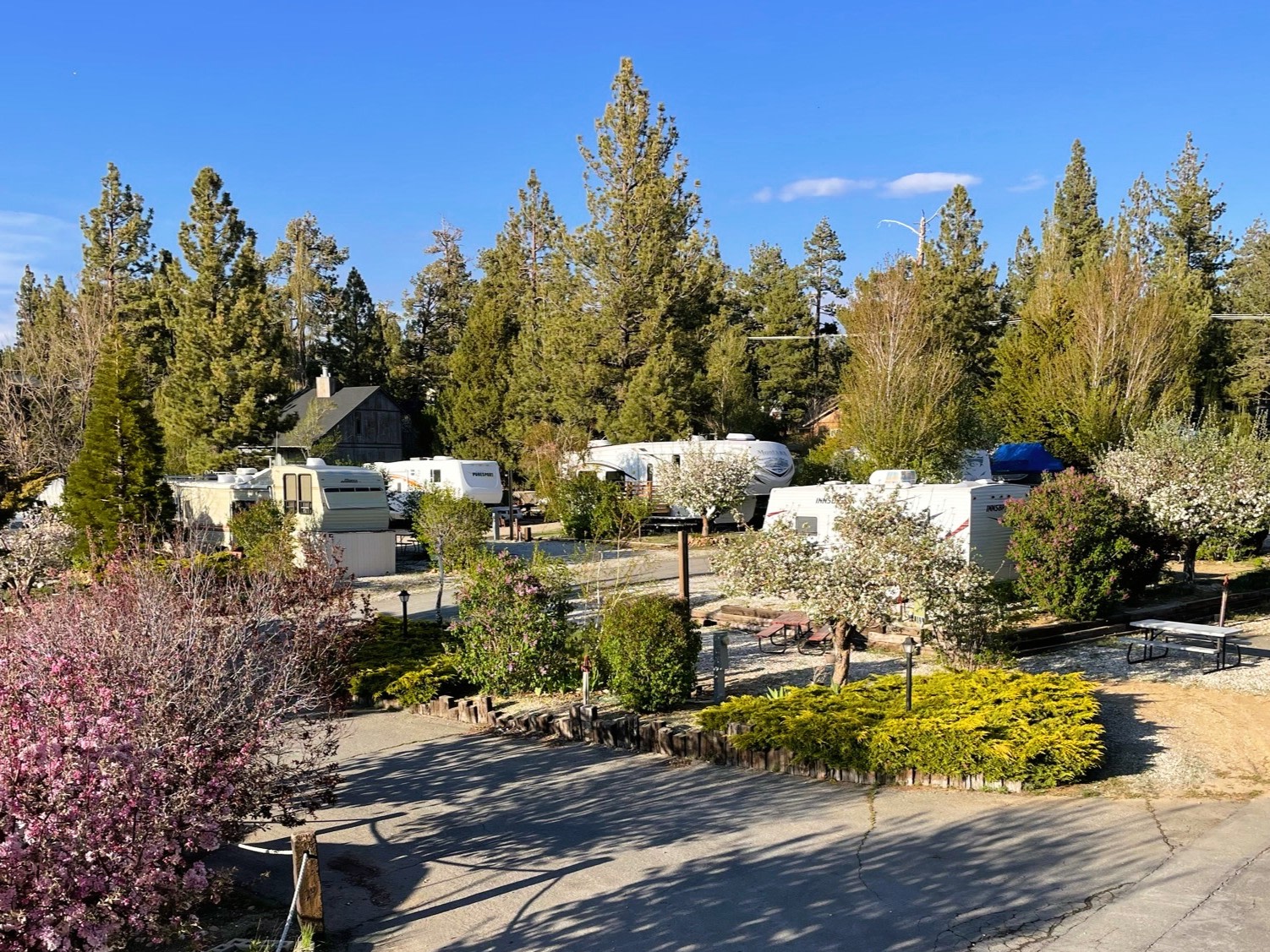 Holloways Marina and RV Park