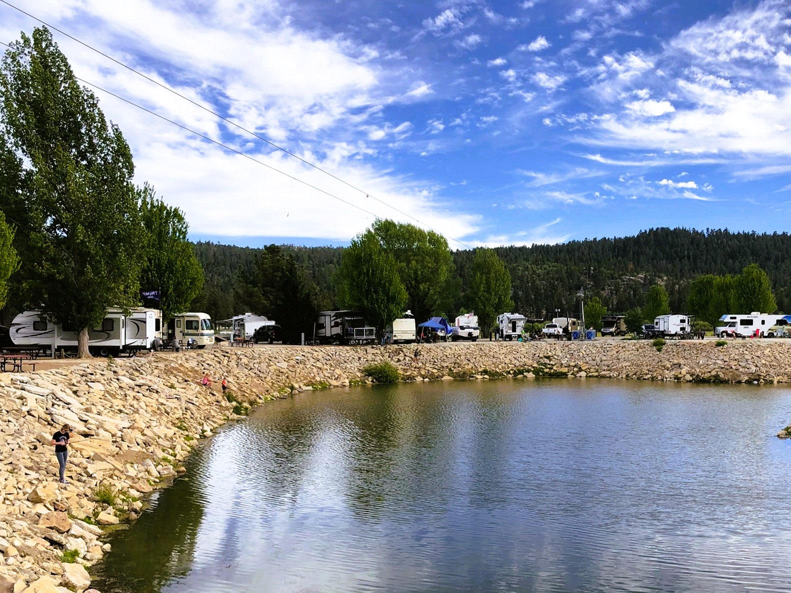 Holloways Marina and RV Park