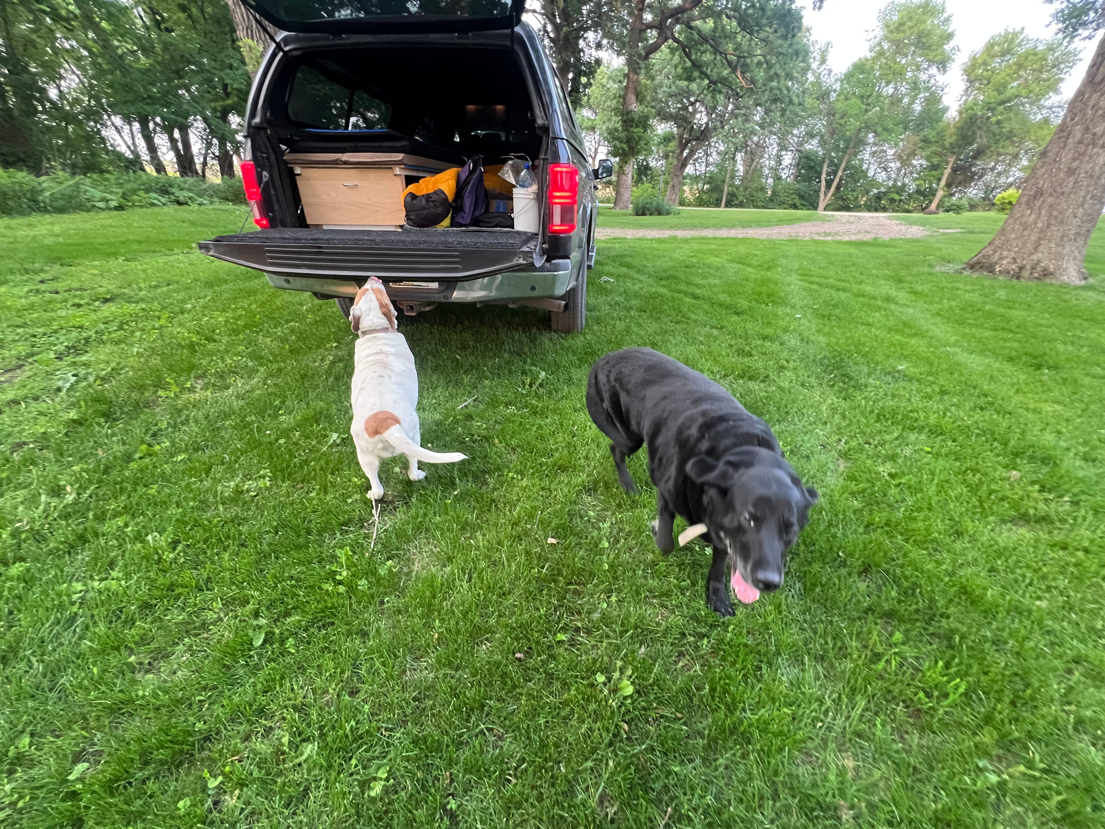 Happy Camping Snapshot Farm