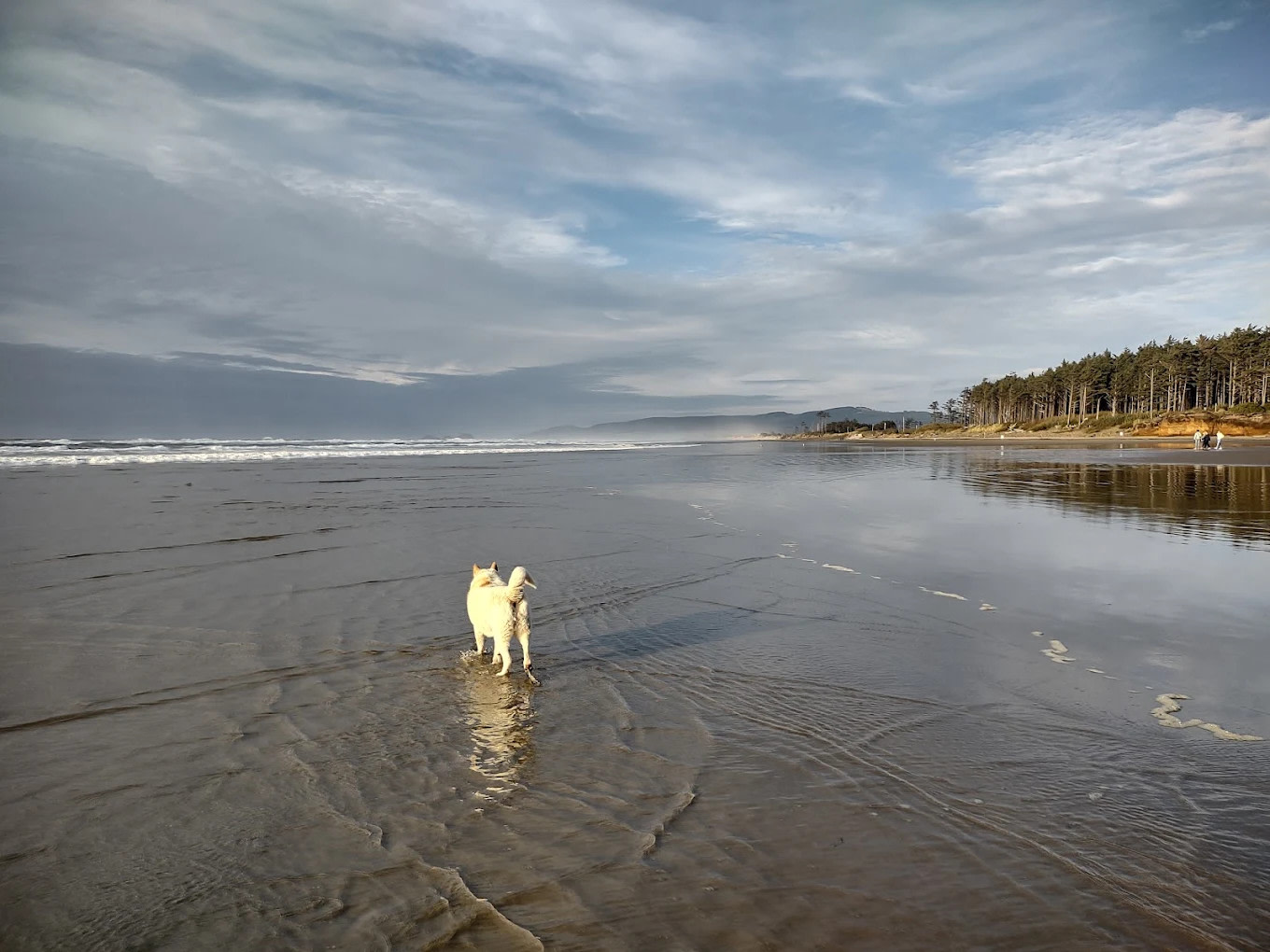Netarts Bay Garden RV Resort