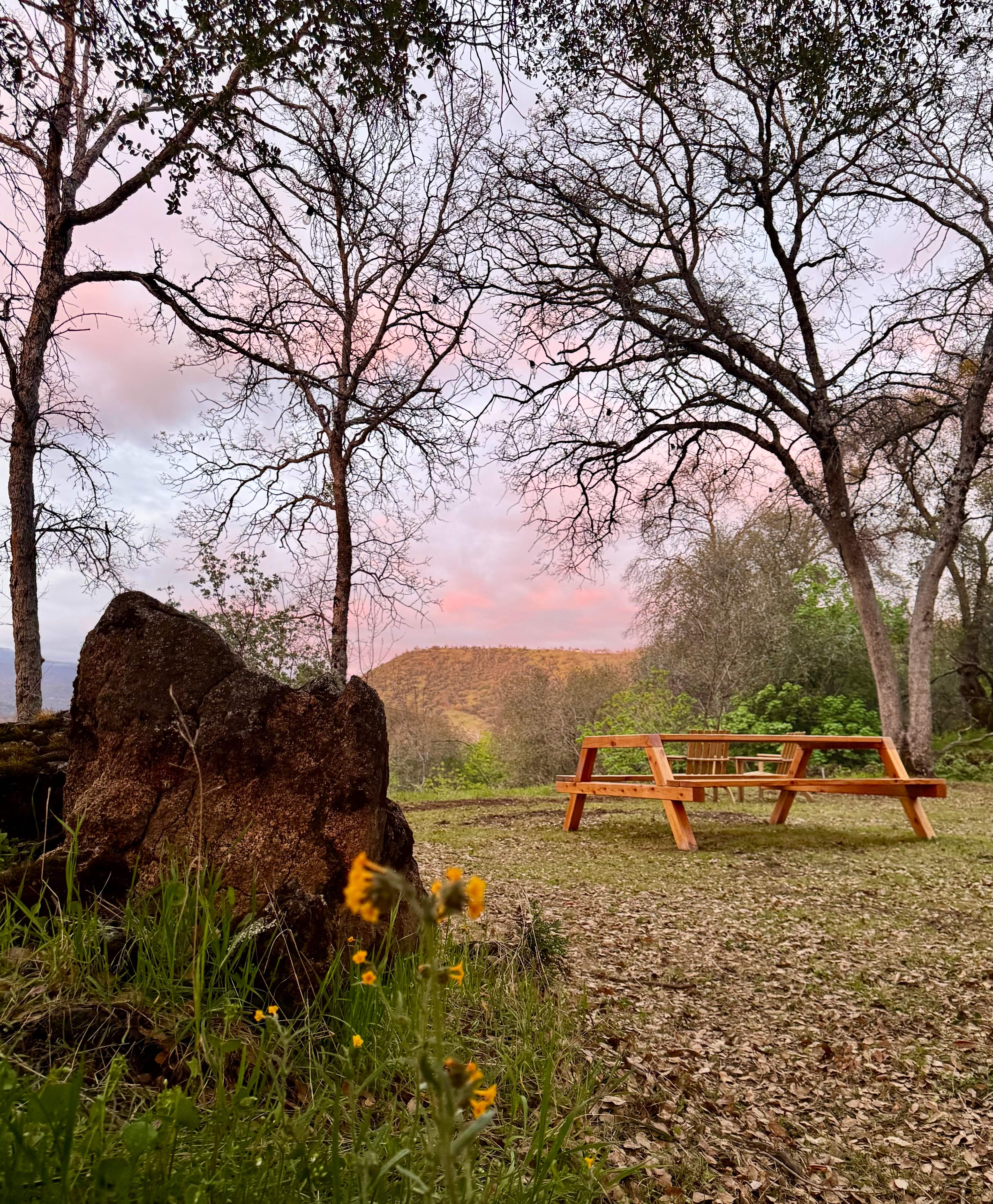 Picnic vibes. 