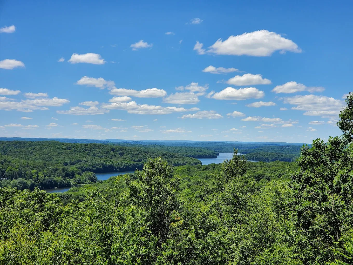 Ward Pound Ridge Reservation