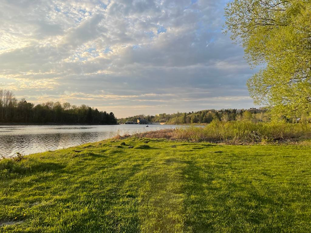 Au Petit Chat de la Riviere