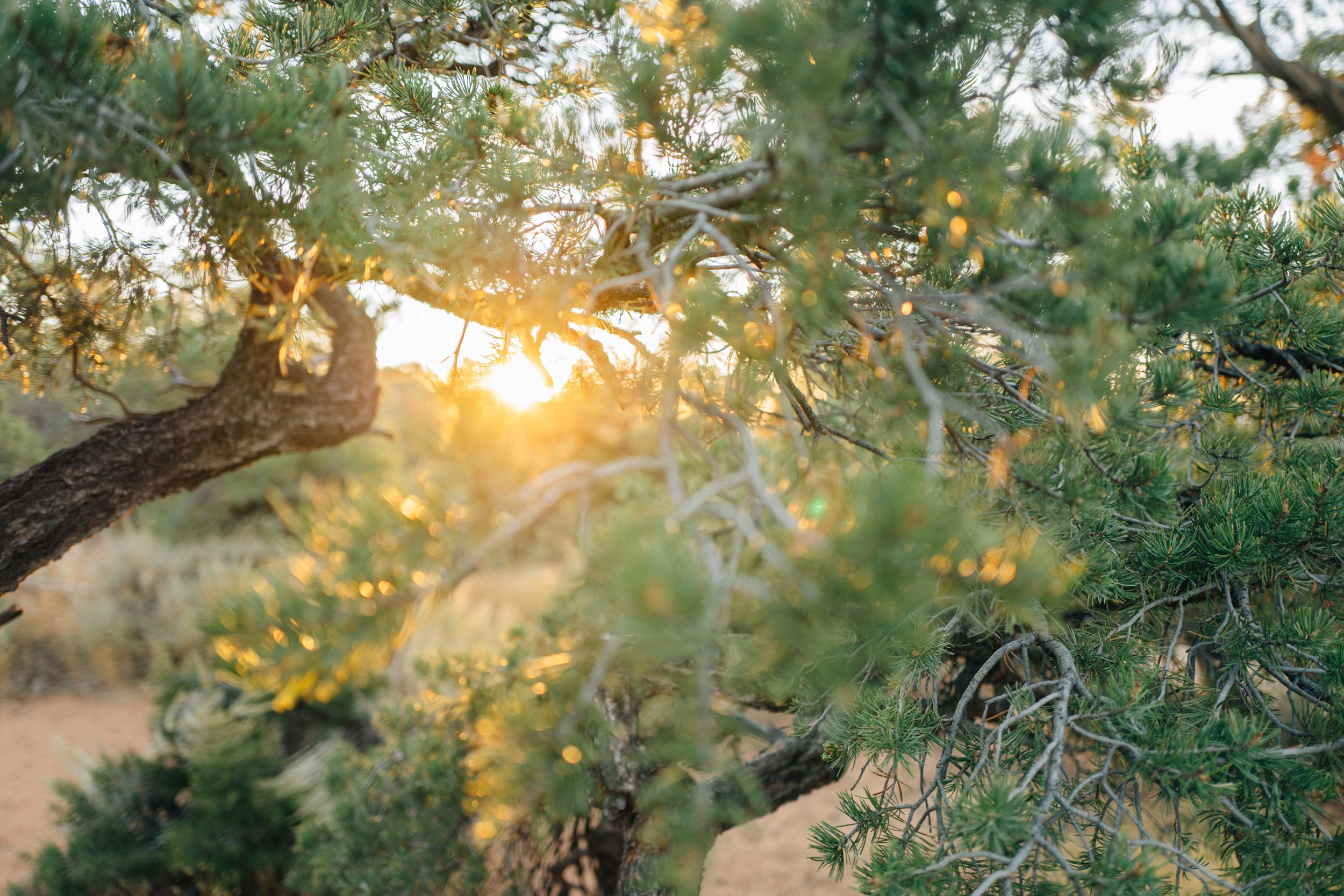 Sunset View Campground