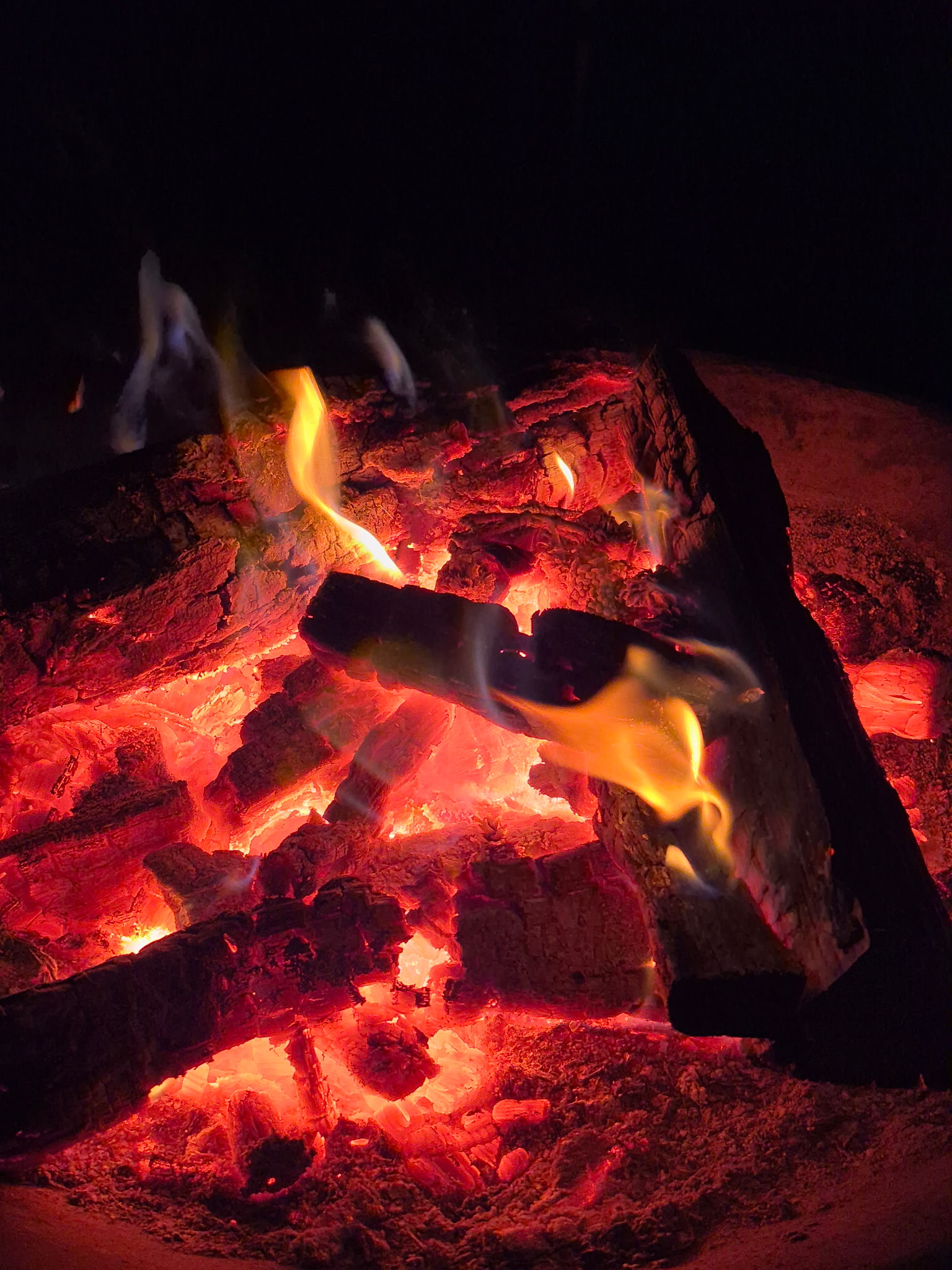 CAMP TINY our base camp