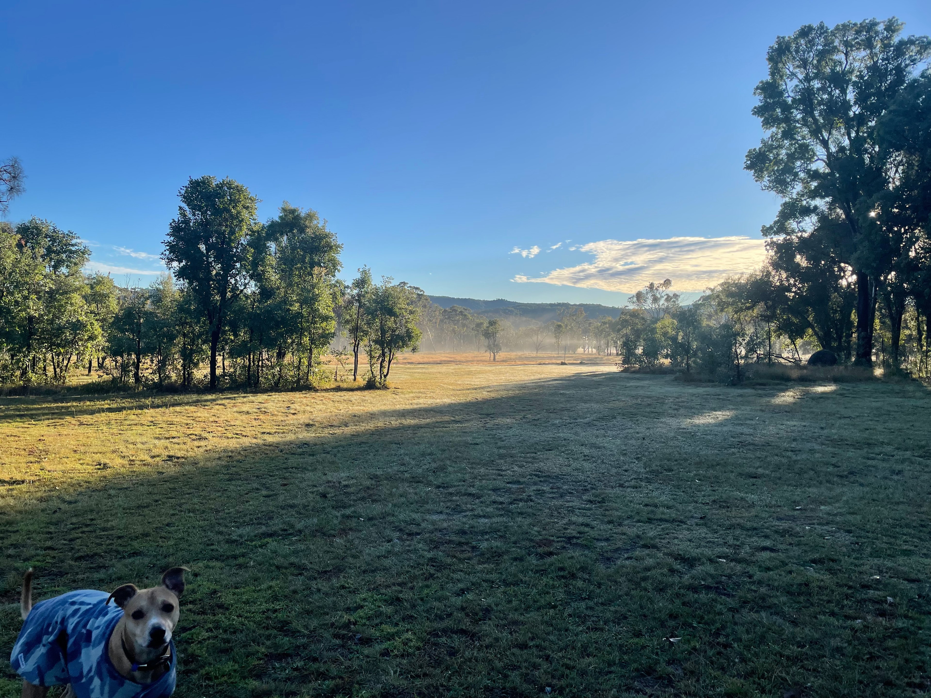 Jennings Tranquil Country Camp