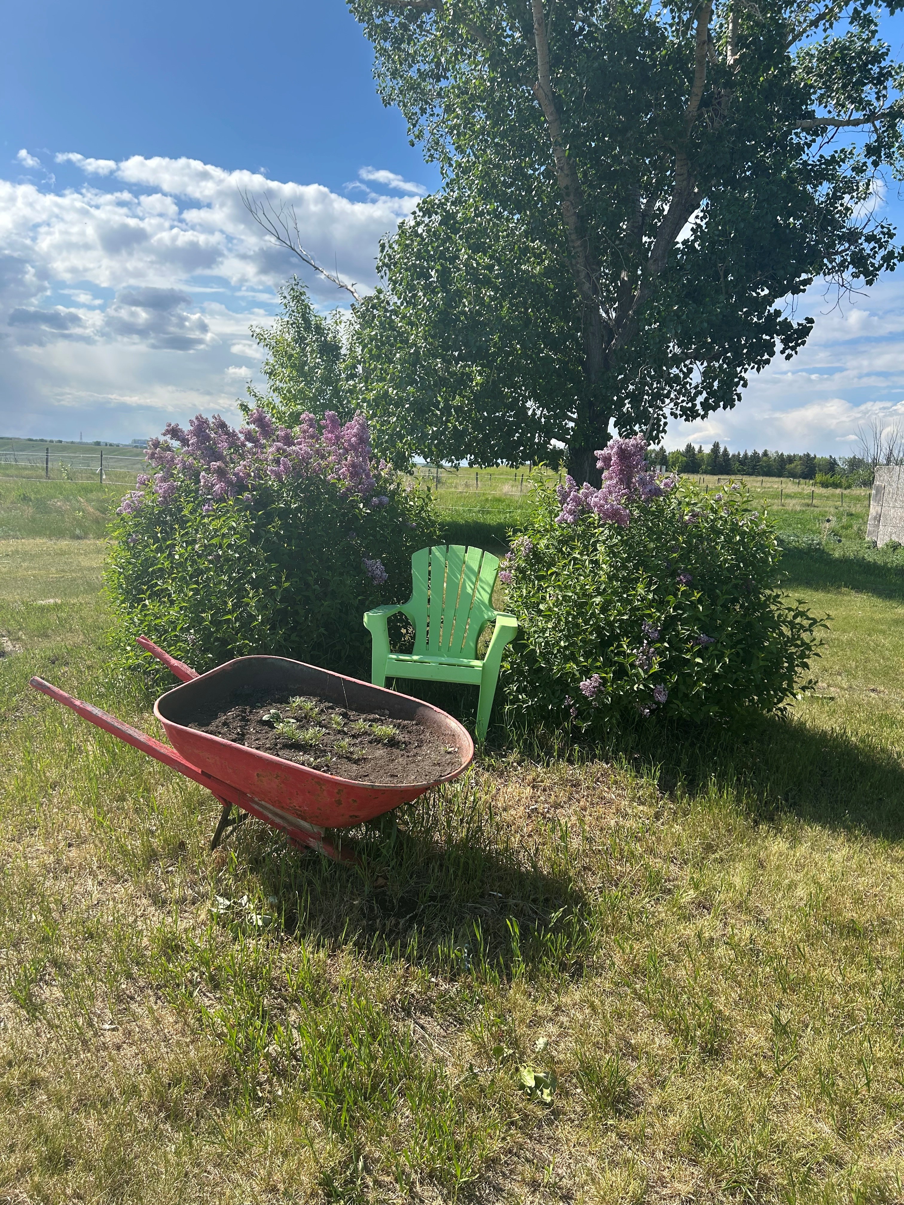 Paradise on the Ridge