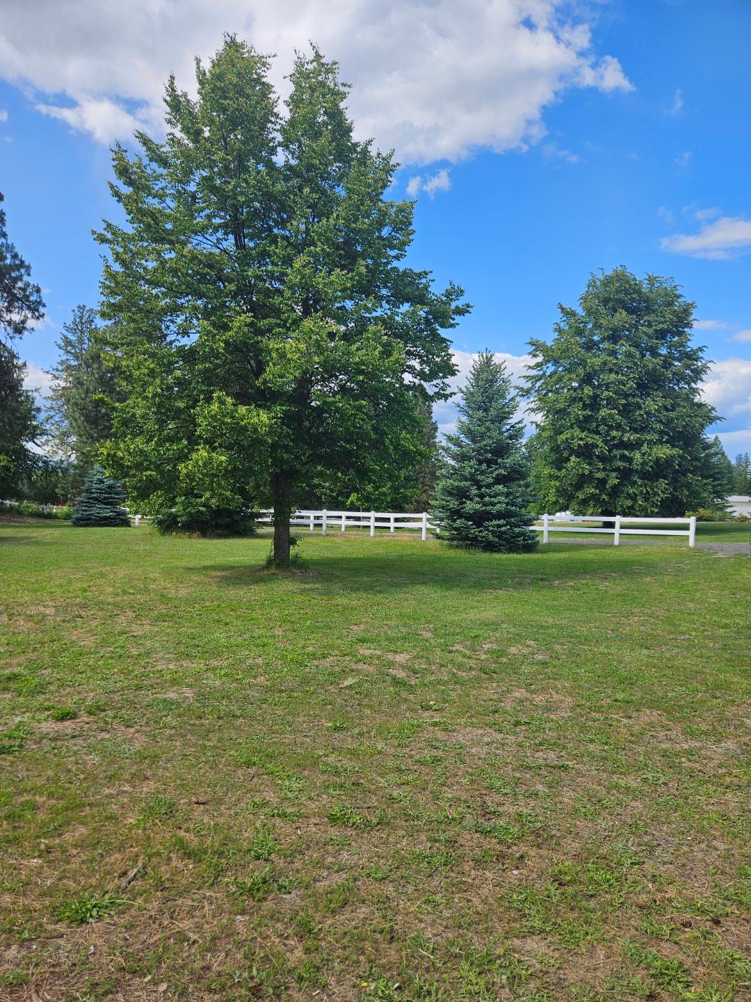 T N T Ranch
