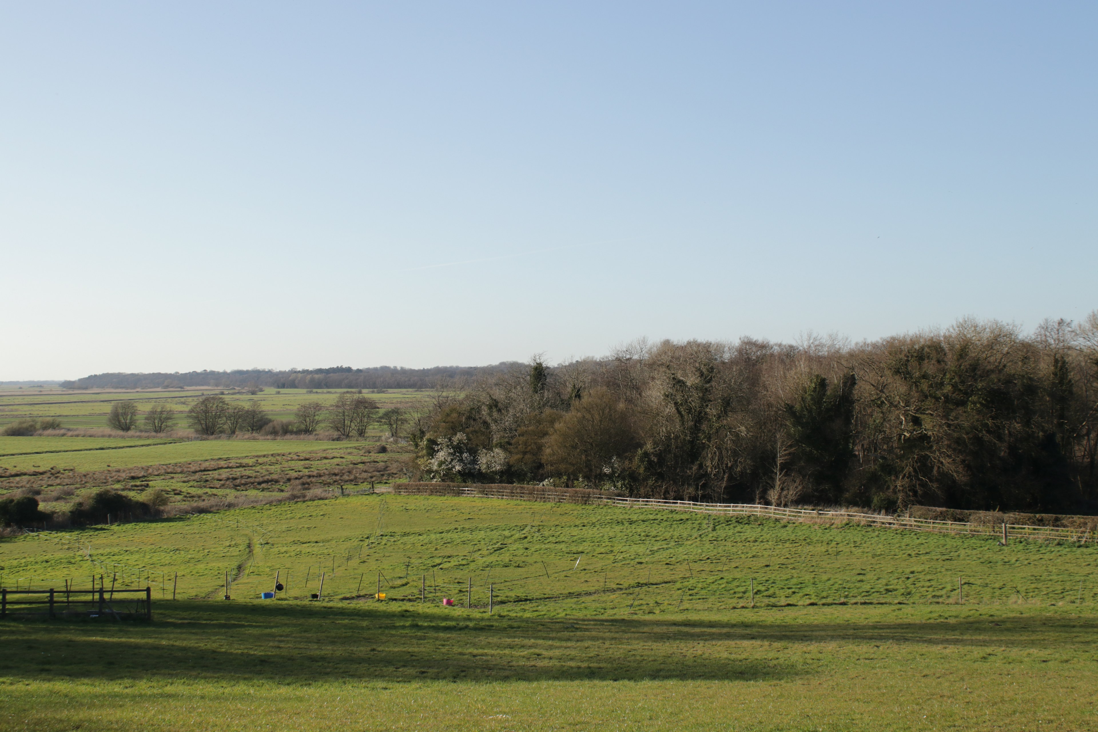 Waveney Wild Woods Camp