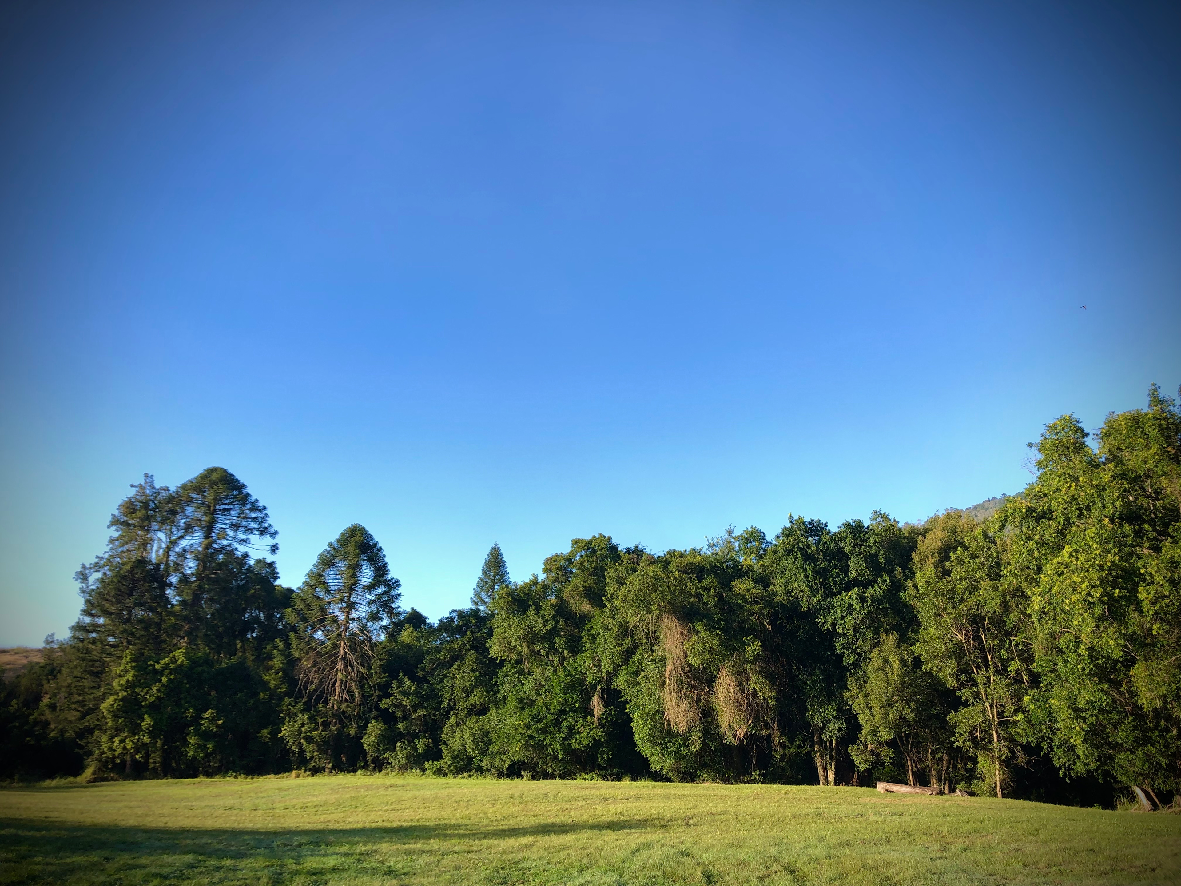 Amamoor Creek Camping Retreat