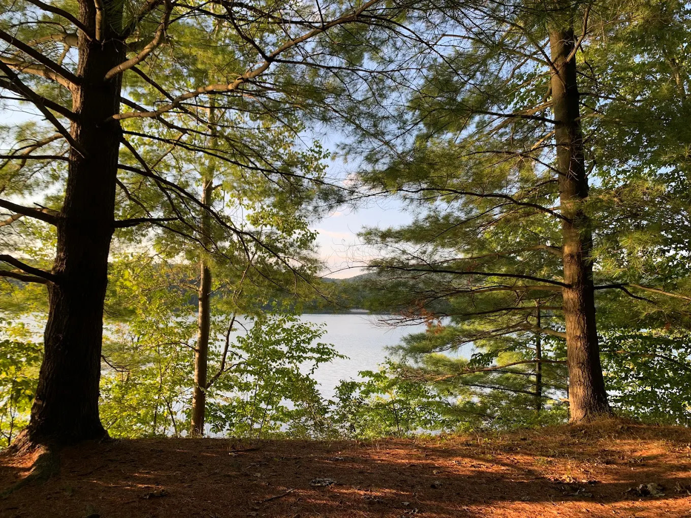 Sylvan Lake Beach Park