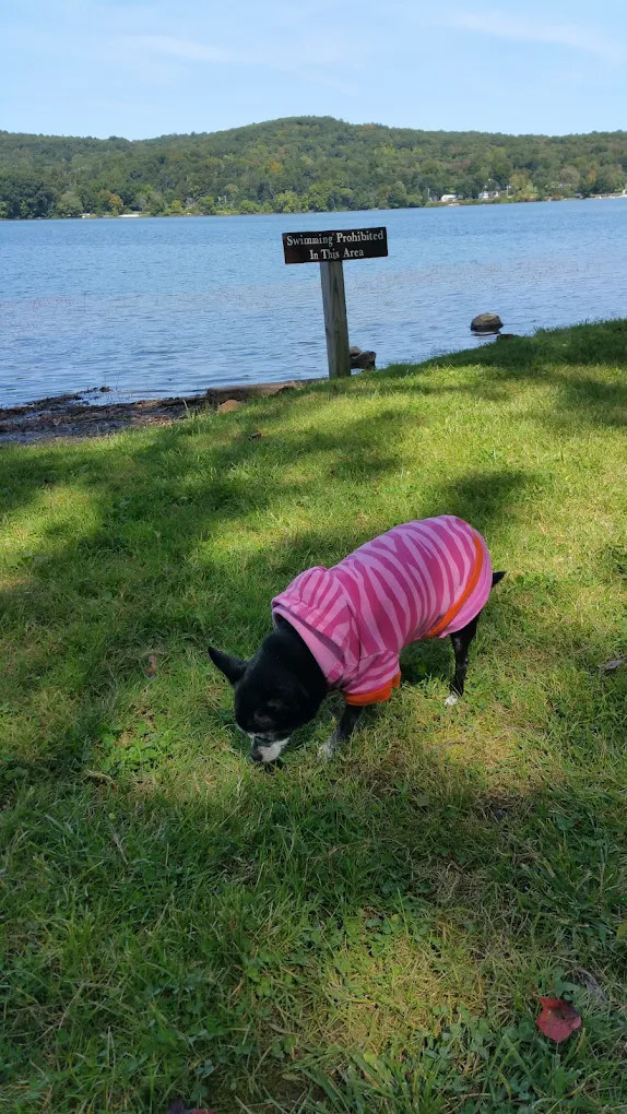 Sylvan Lake Beach Park