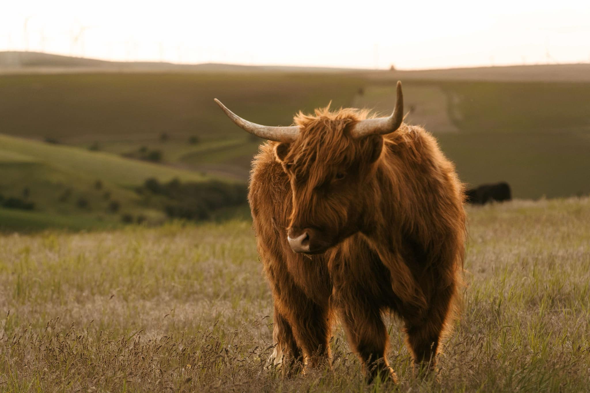 Edwards Acres Ranch
