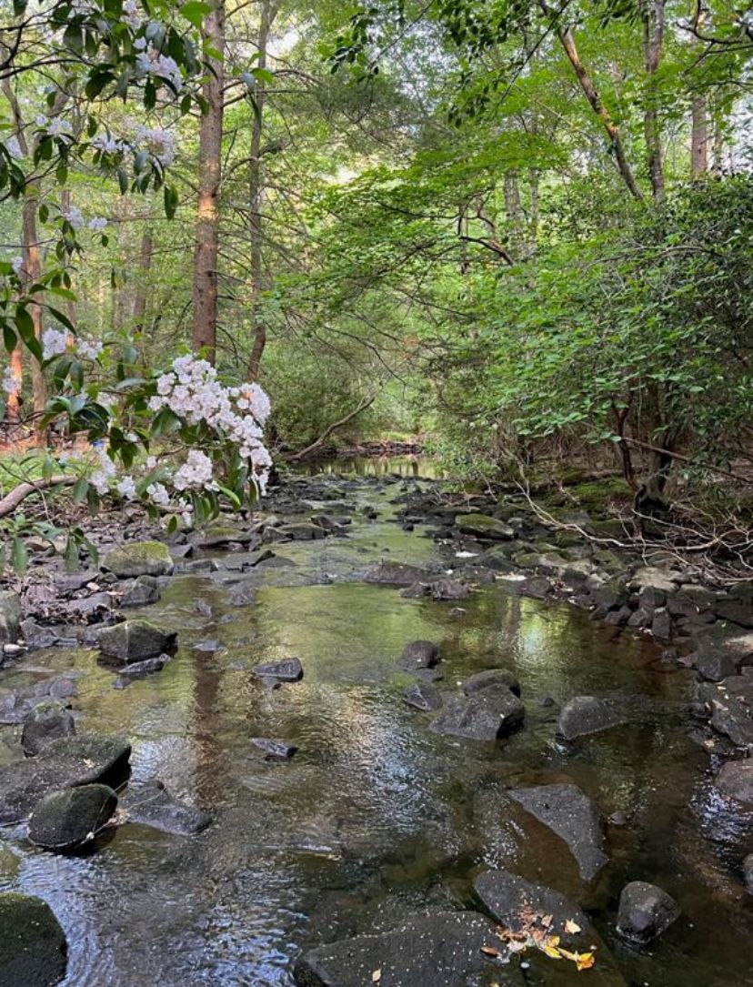 River Rock Refuge