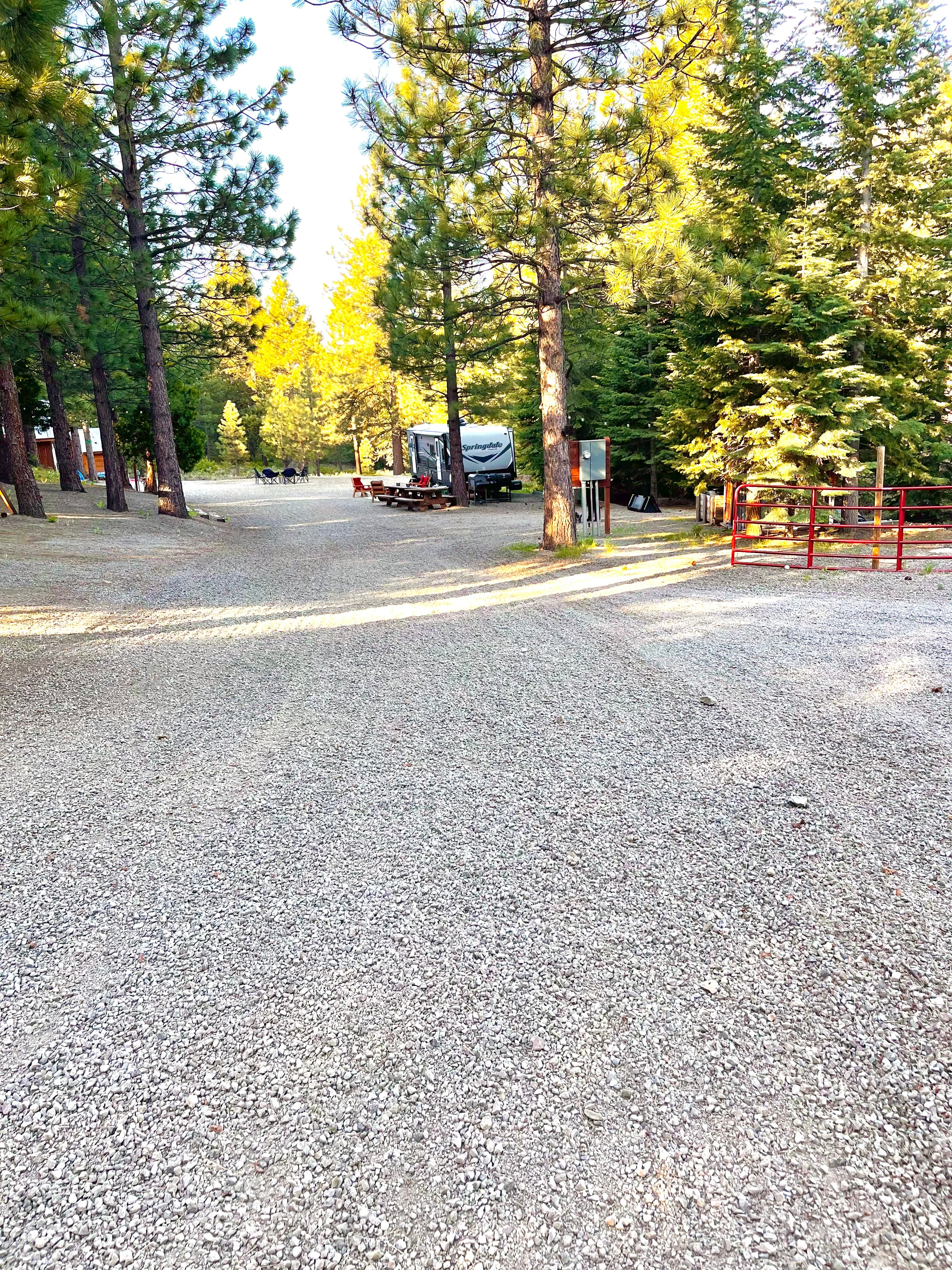 Welsh Grizzly Camp