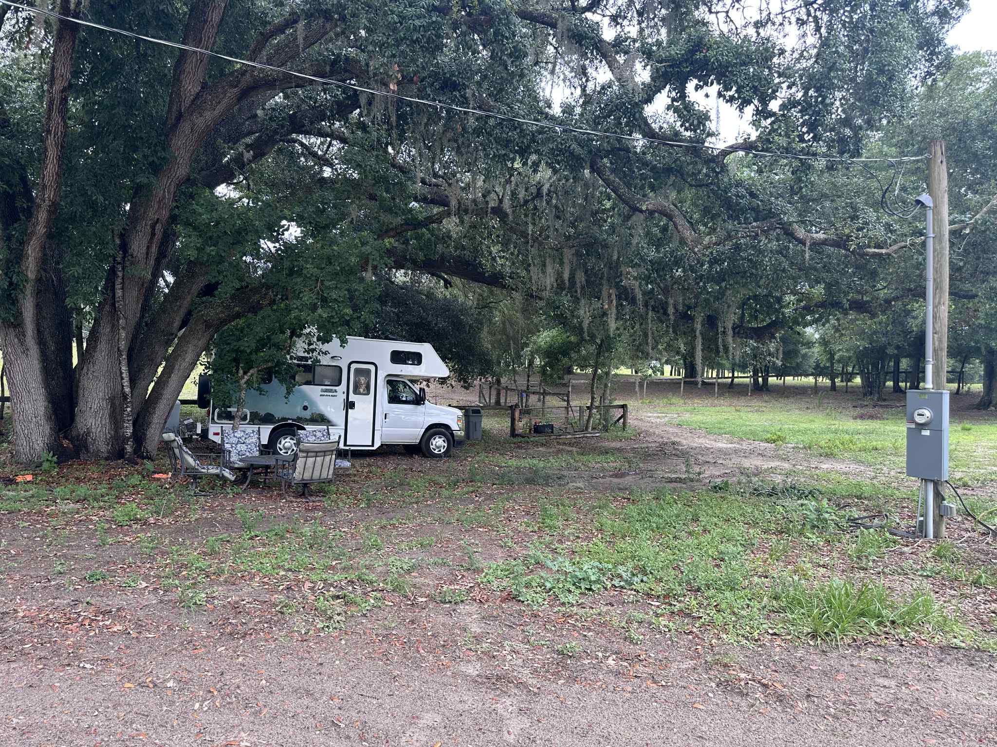 Big Oak Farm  Dog And Horse Camping