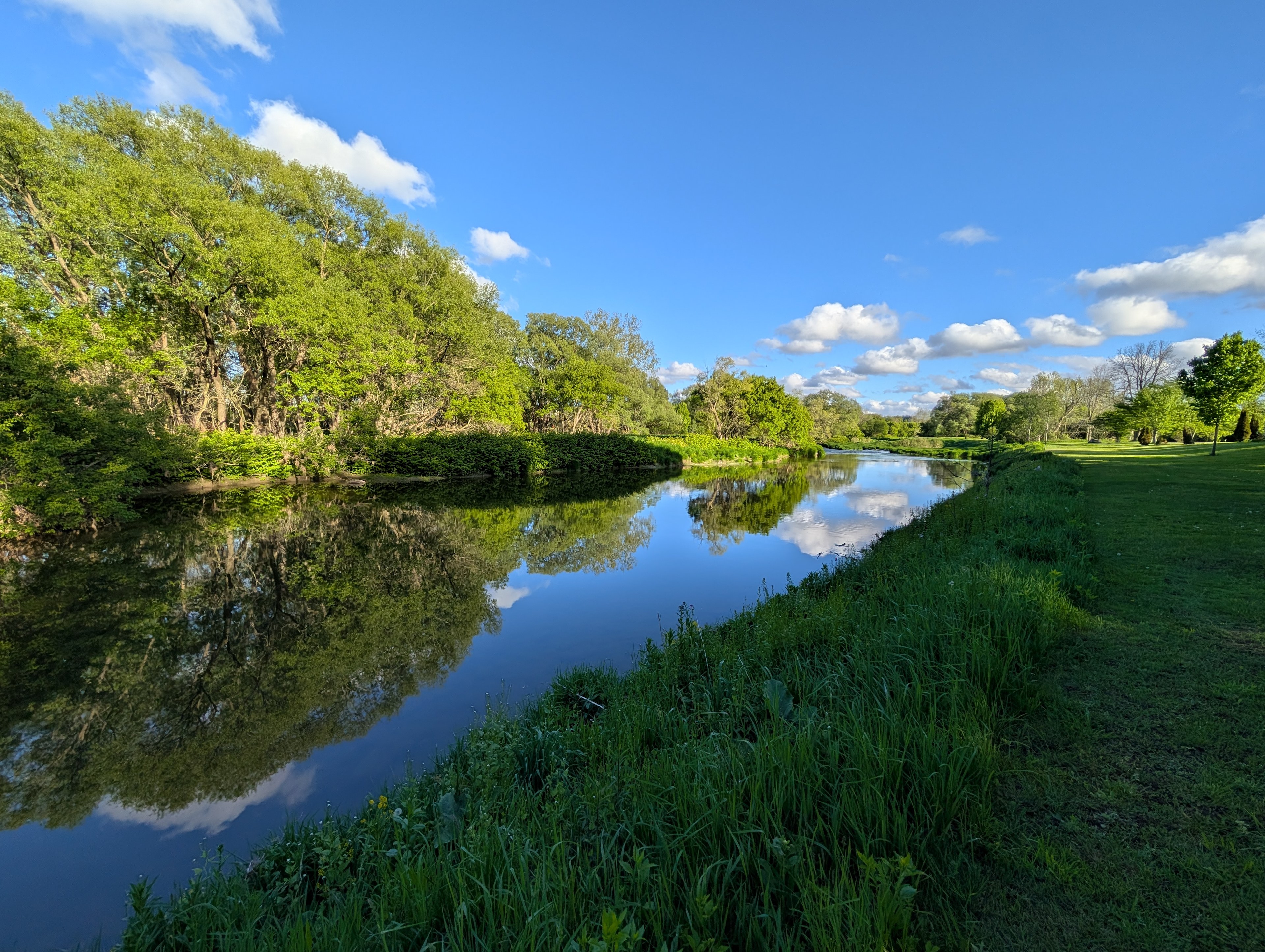 Free to Pause Campsite