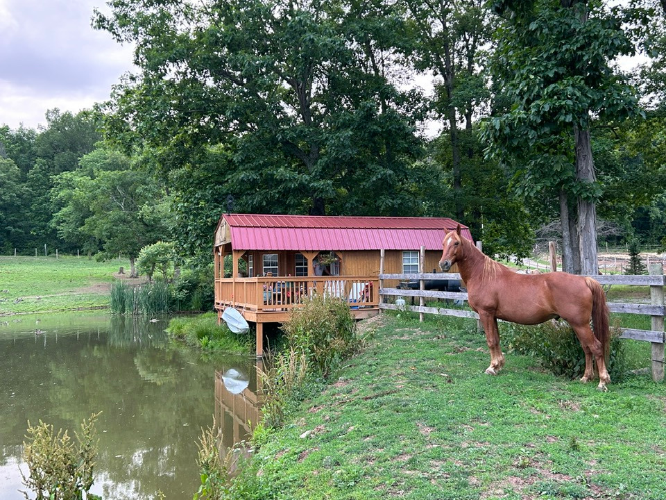 DLR Mustang Ranch