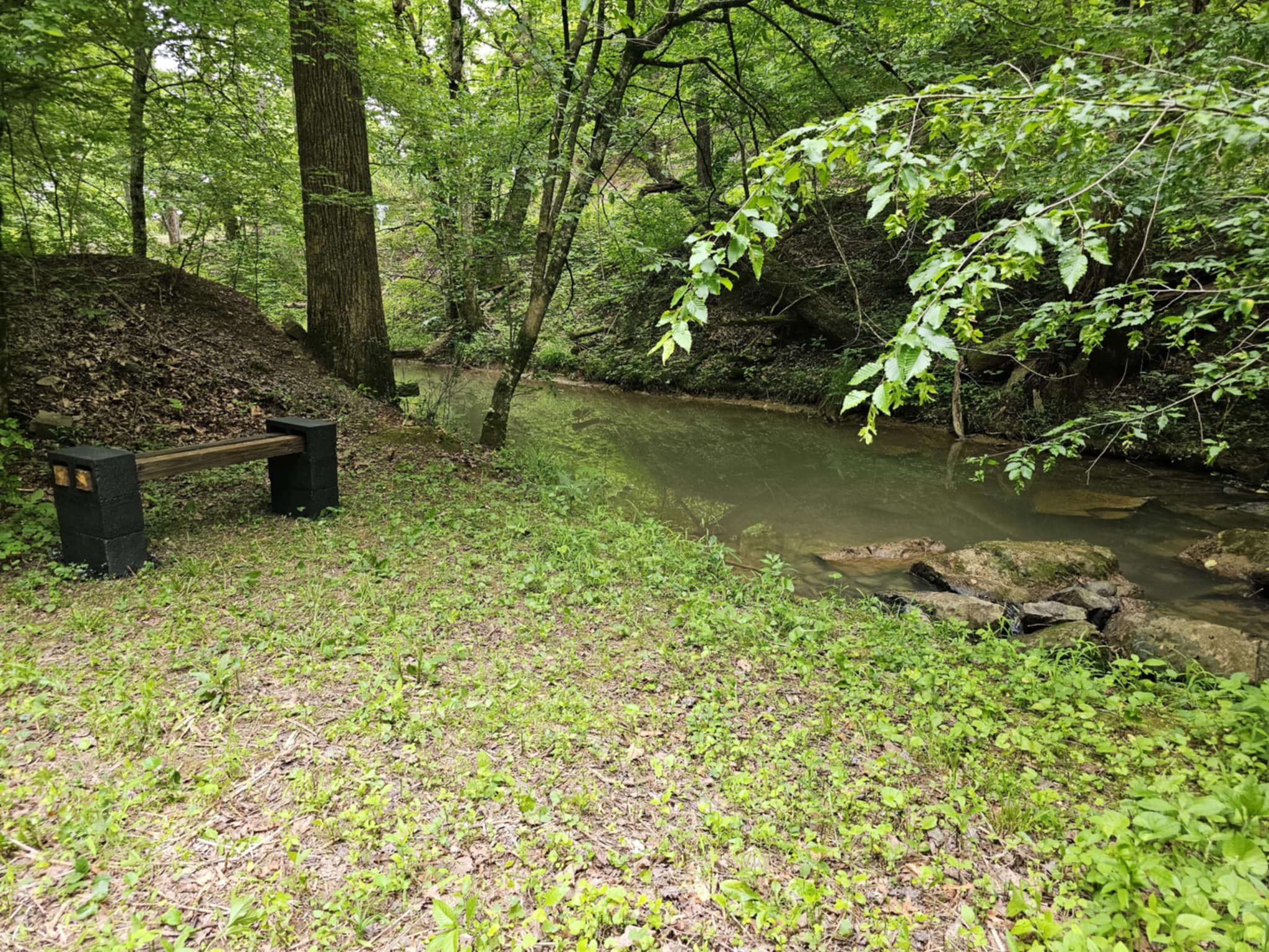 Bear Hollow Reserve