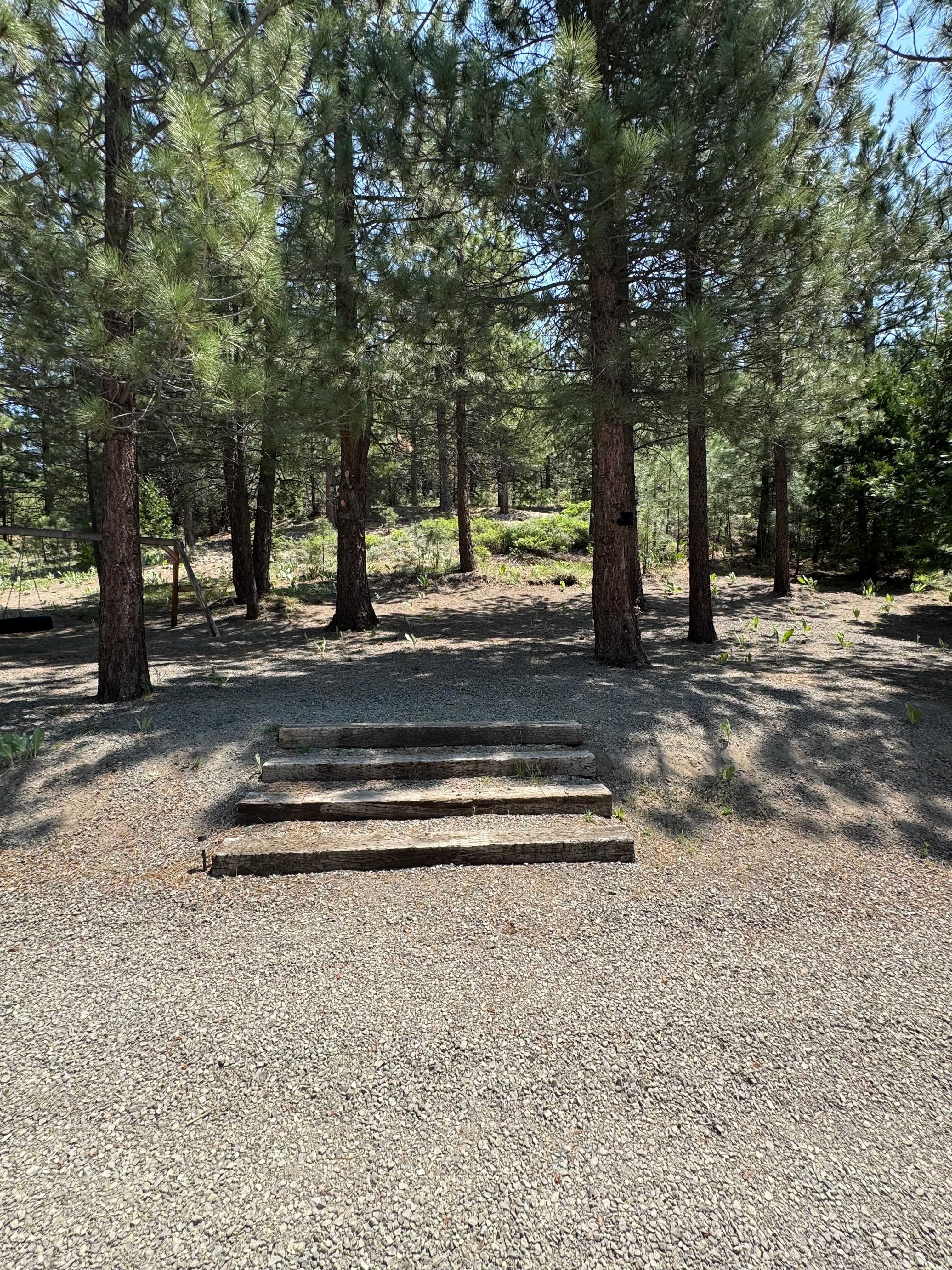 Welsh Grizzly Camp