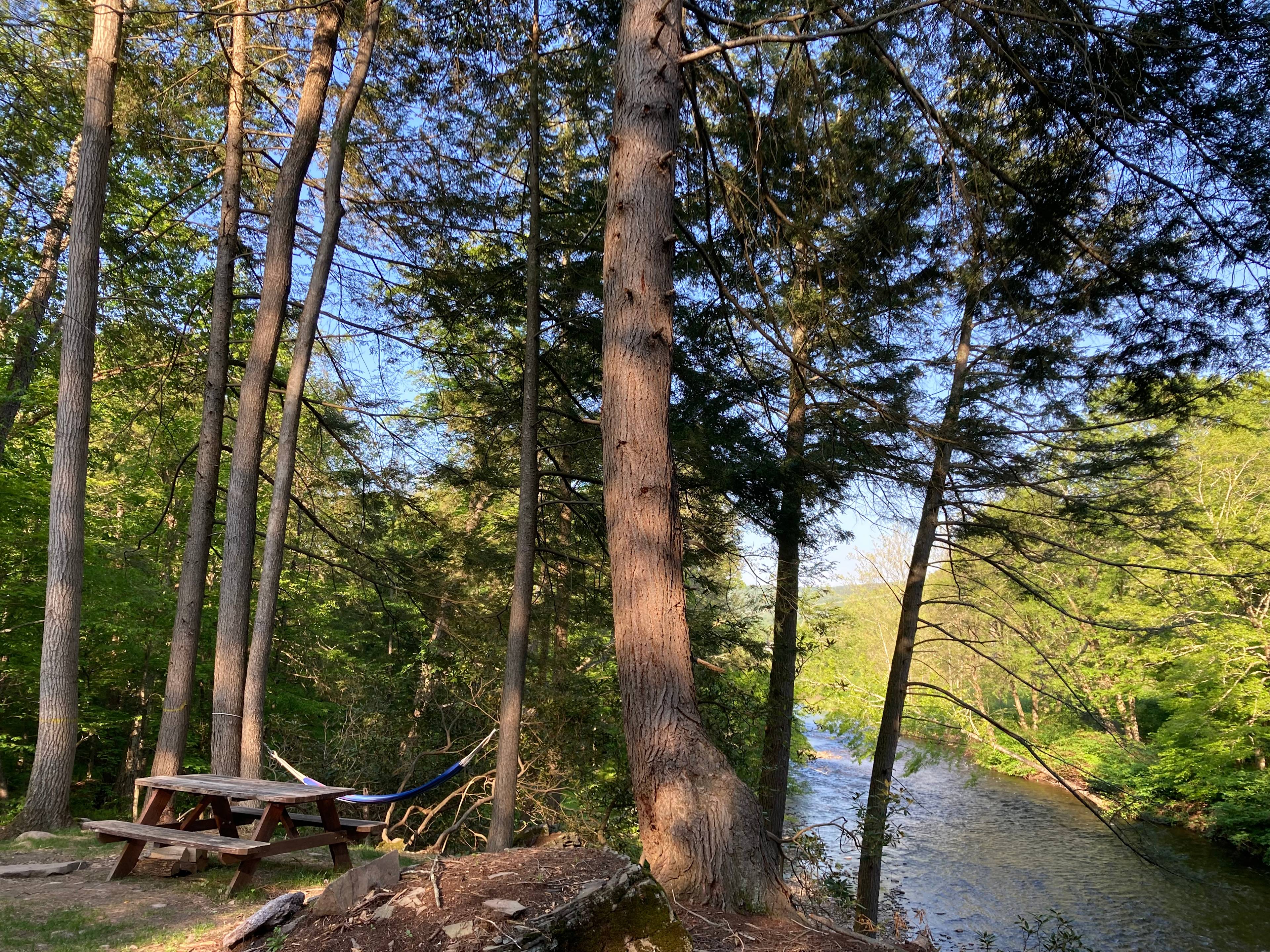 Fisherman’s Bend