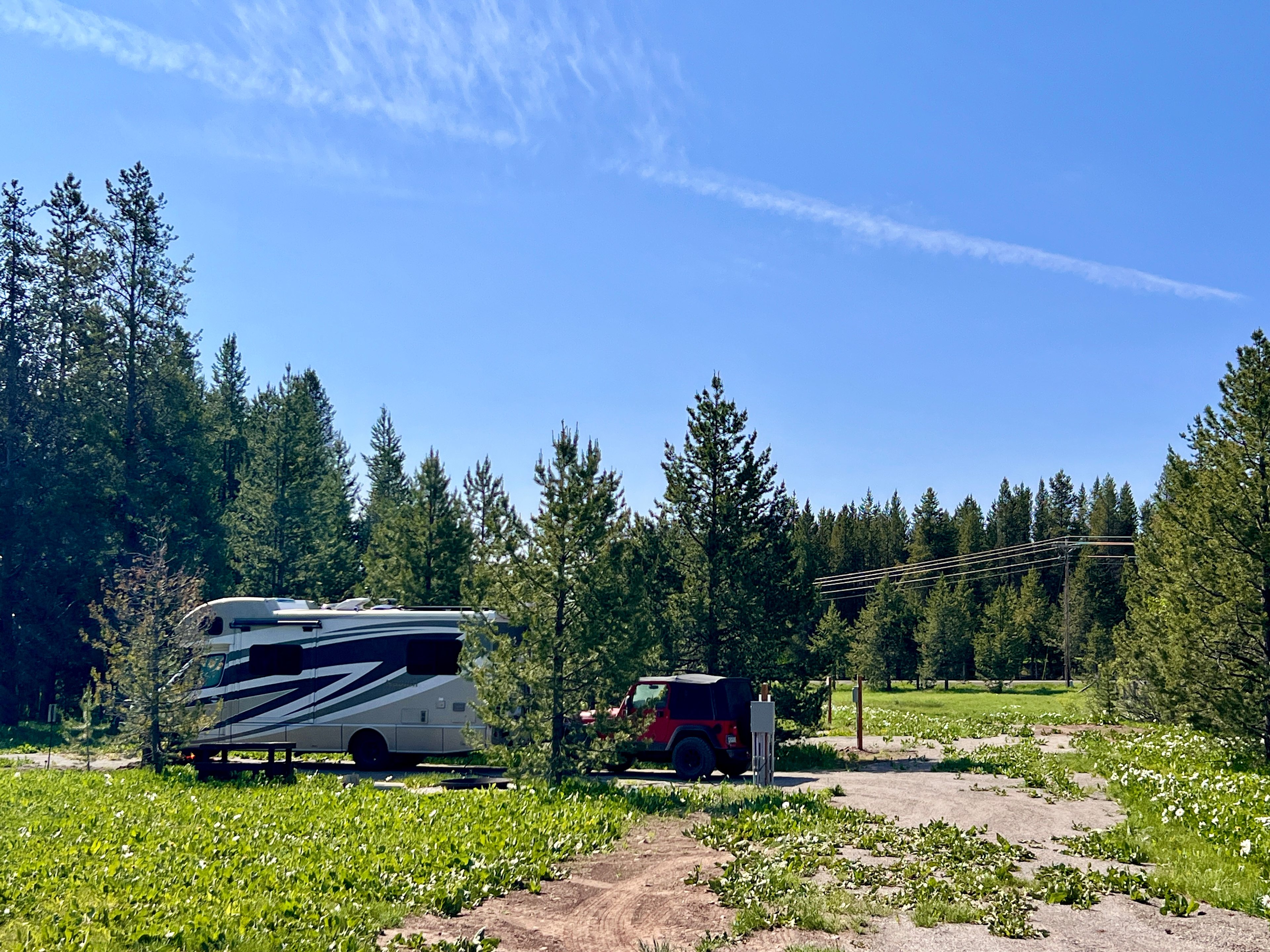 Our site, from the entrance.