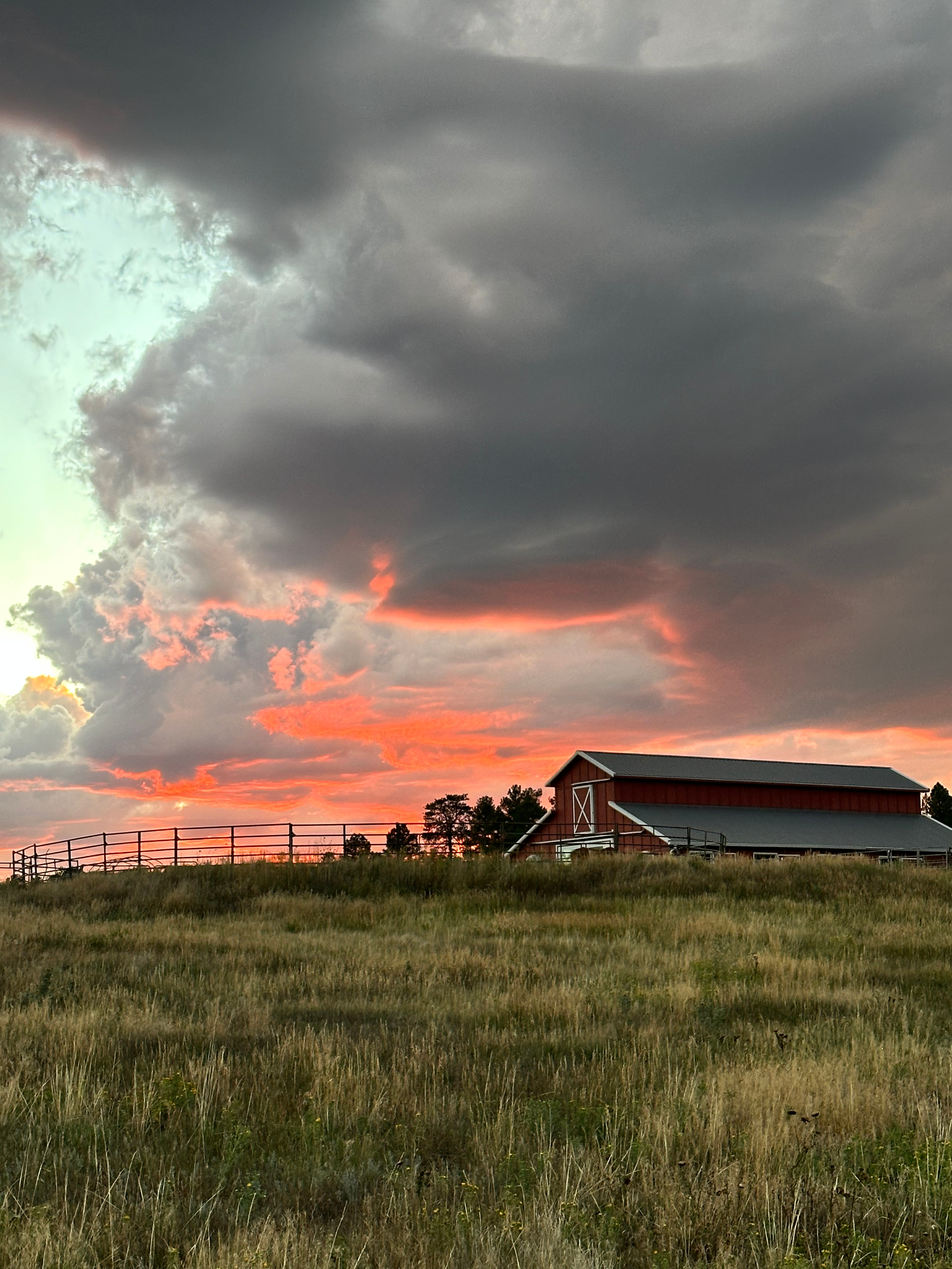 120 Acre Animal Sanctuary
