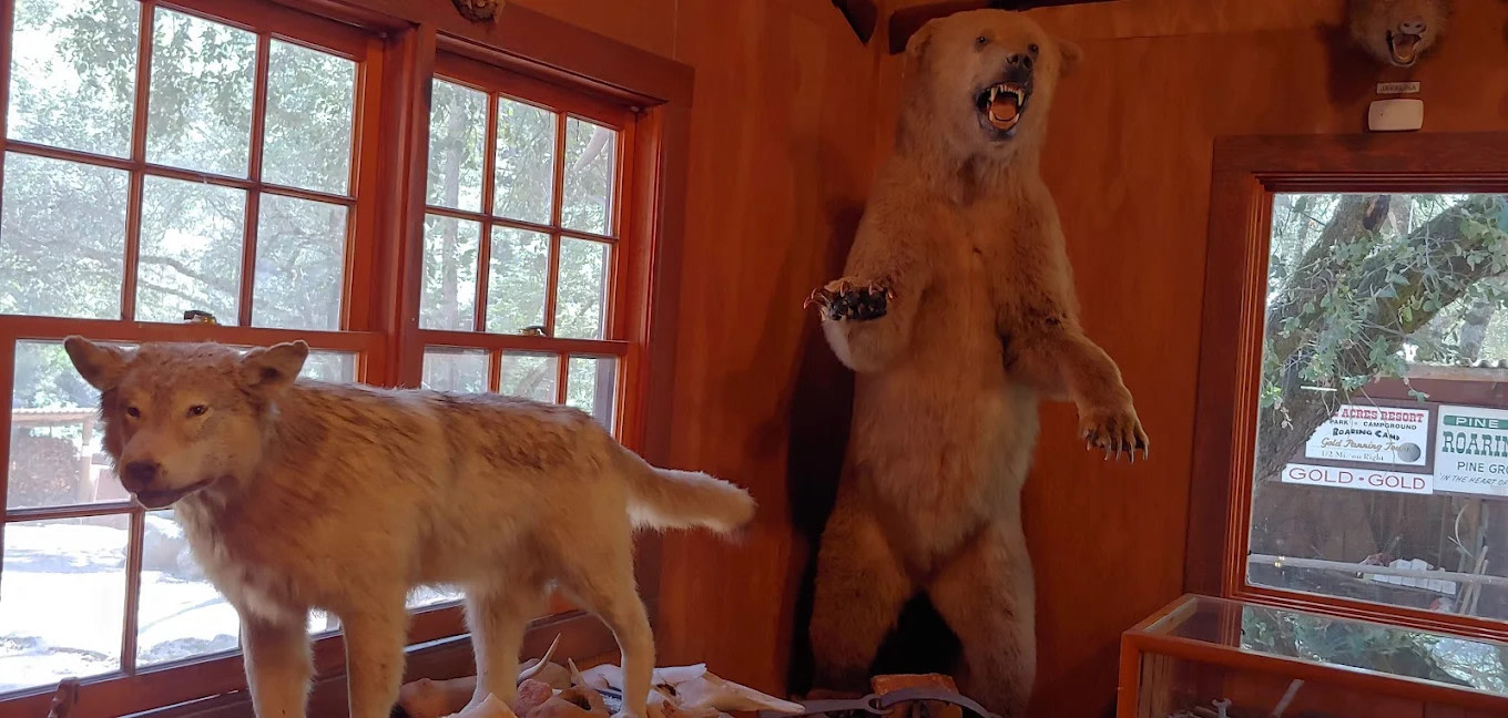 Roaring Camp Mining Company