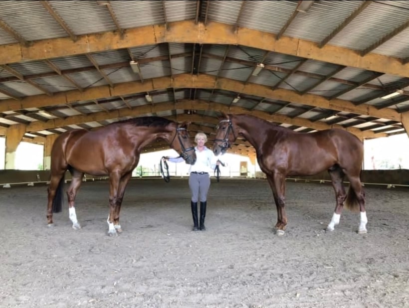 Hunter Valley Equestrian Centre