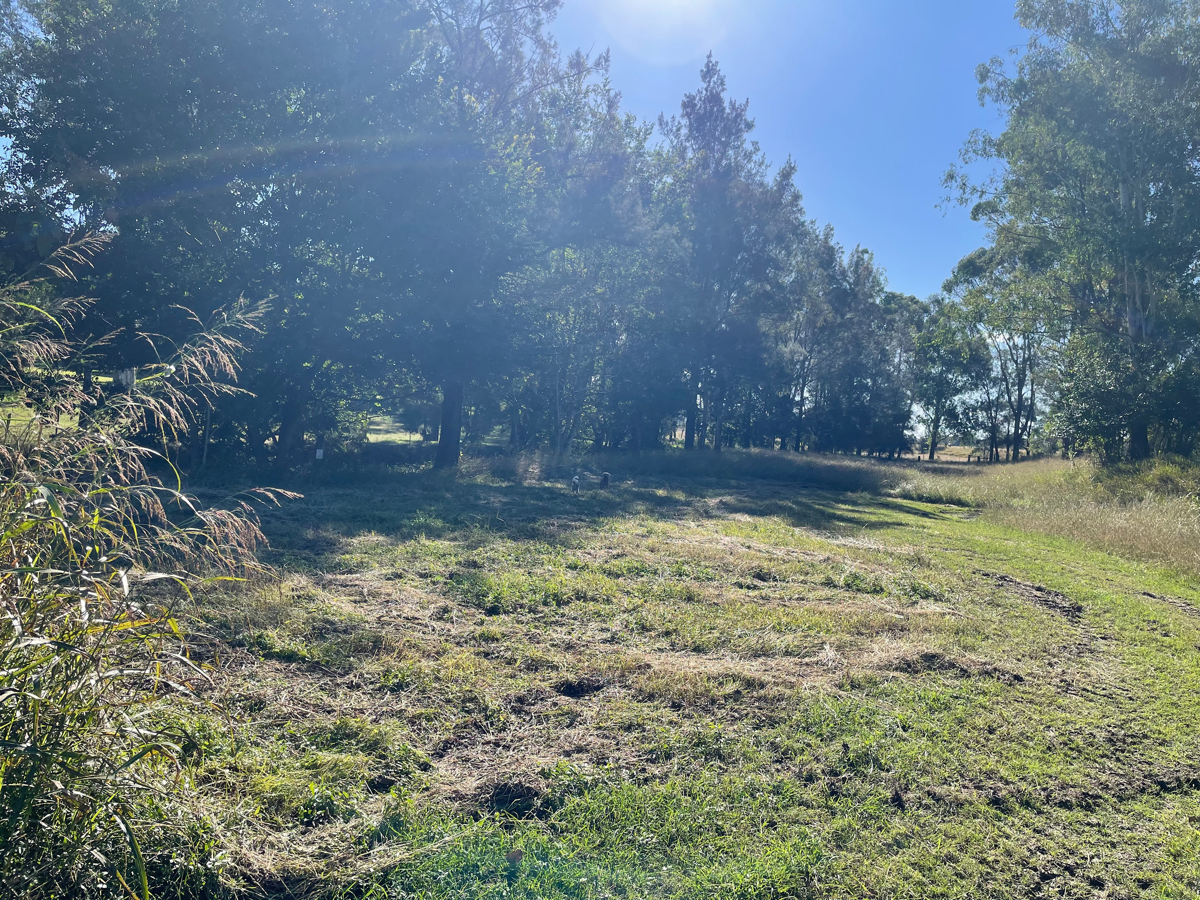 Camp By The Billabong