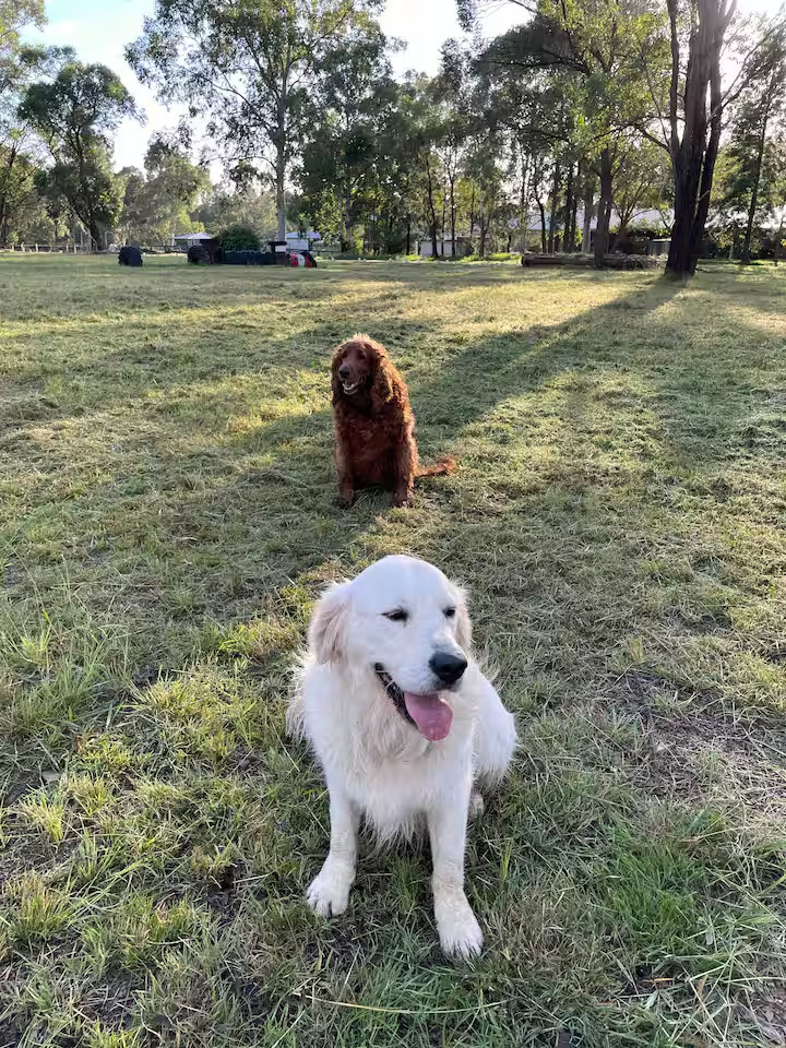 Hunter Valley Equestrian Centre