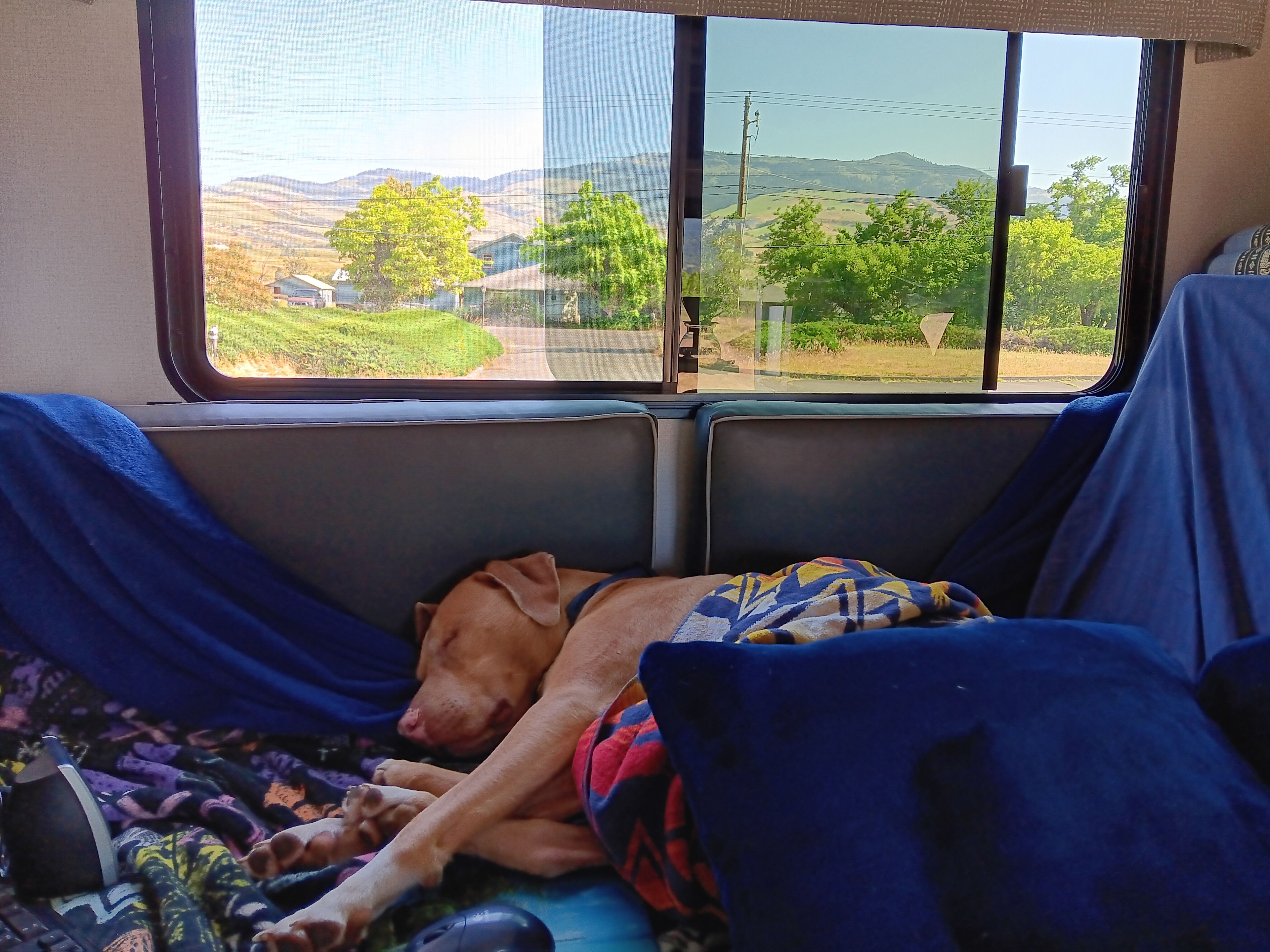 Gambrel Arts Collective