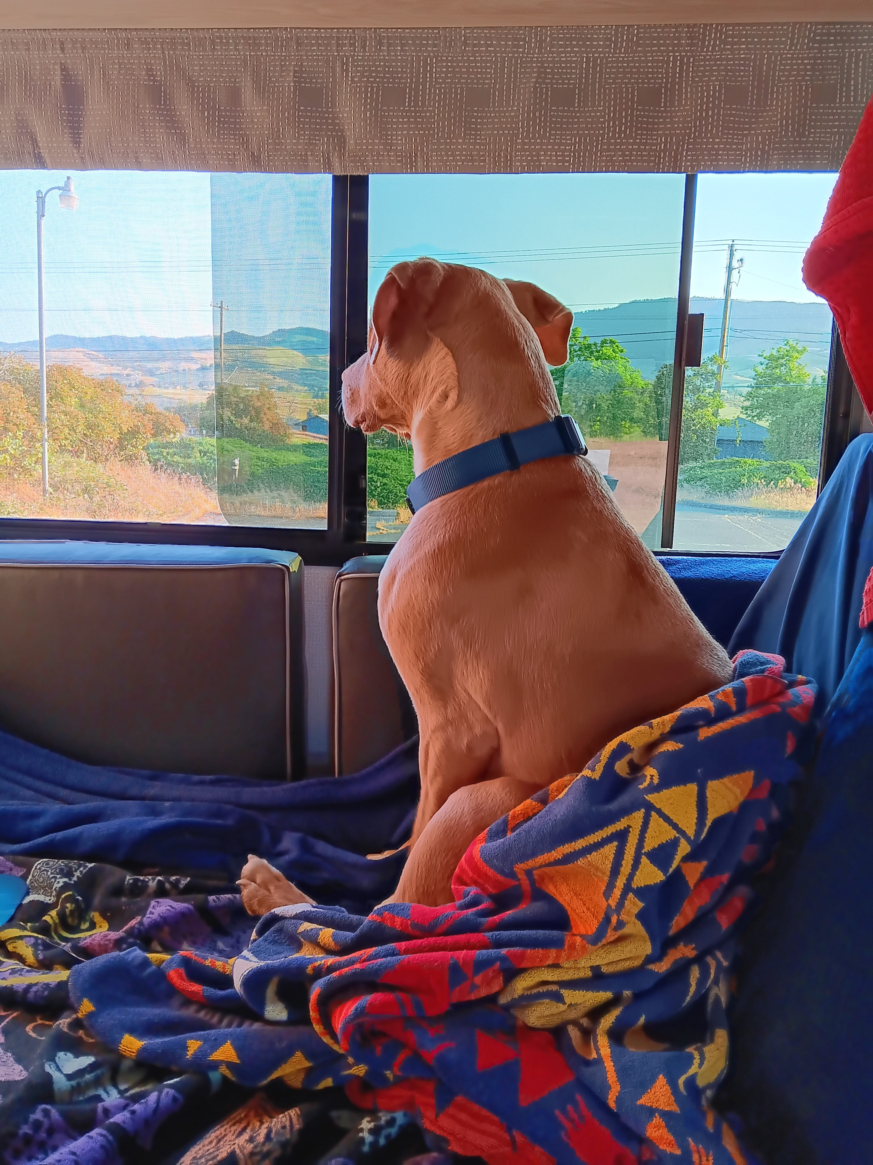 Gambrel Arts Collective