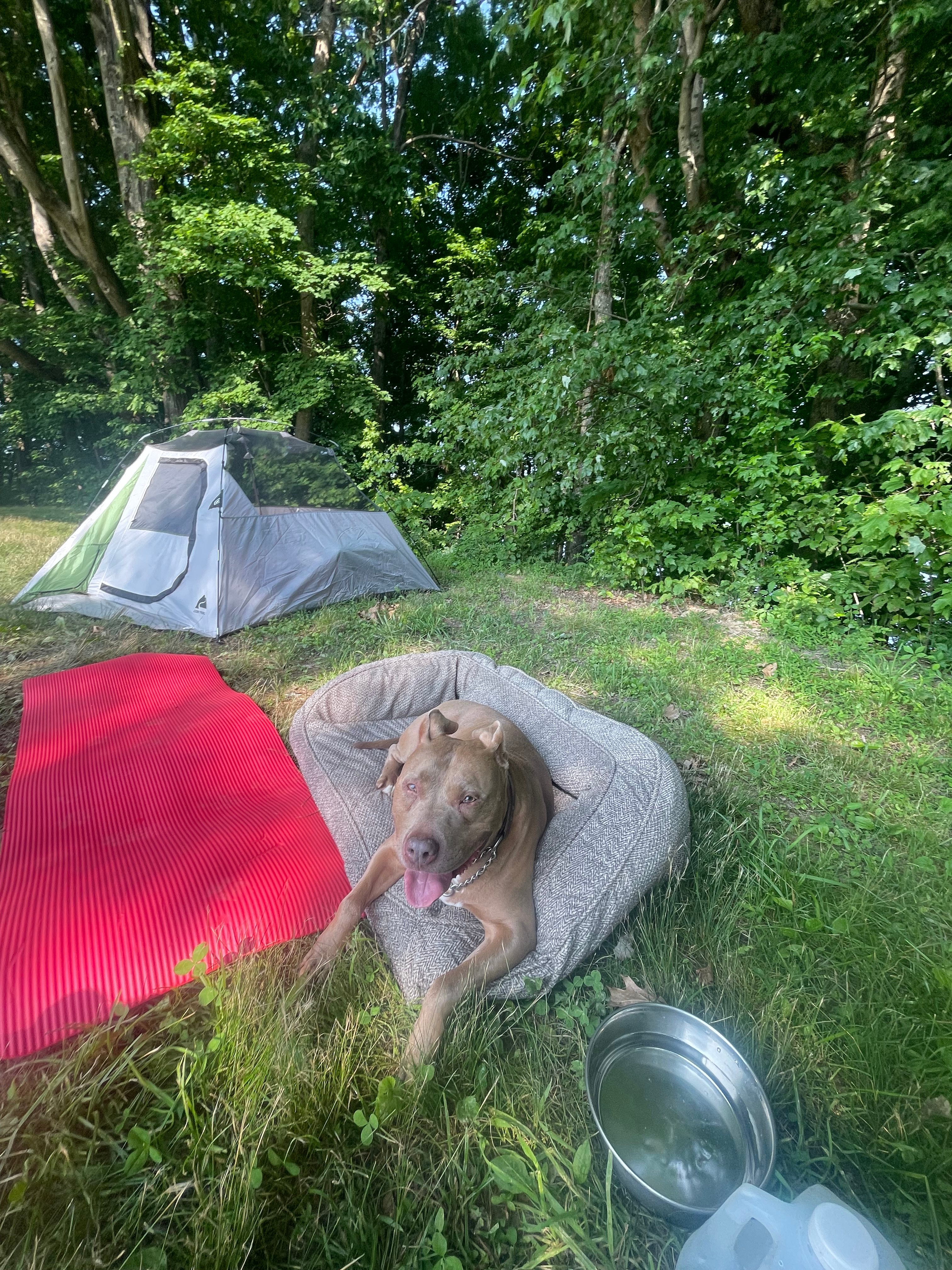 On the back of the farm