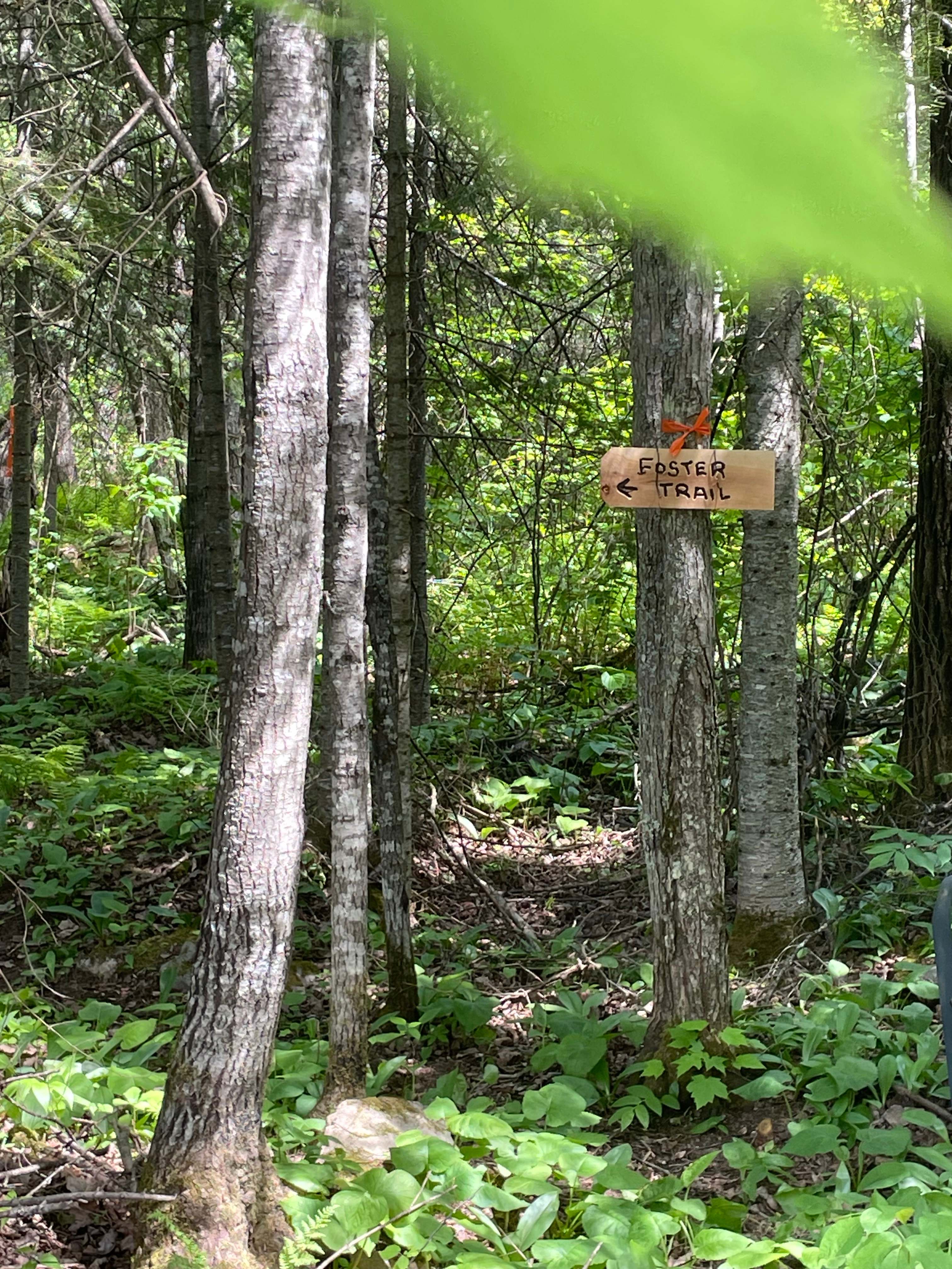 Osprey Ridge