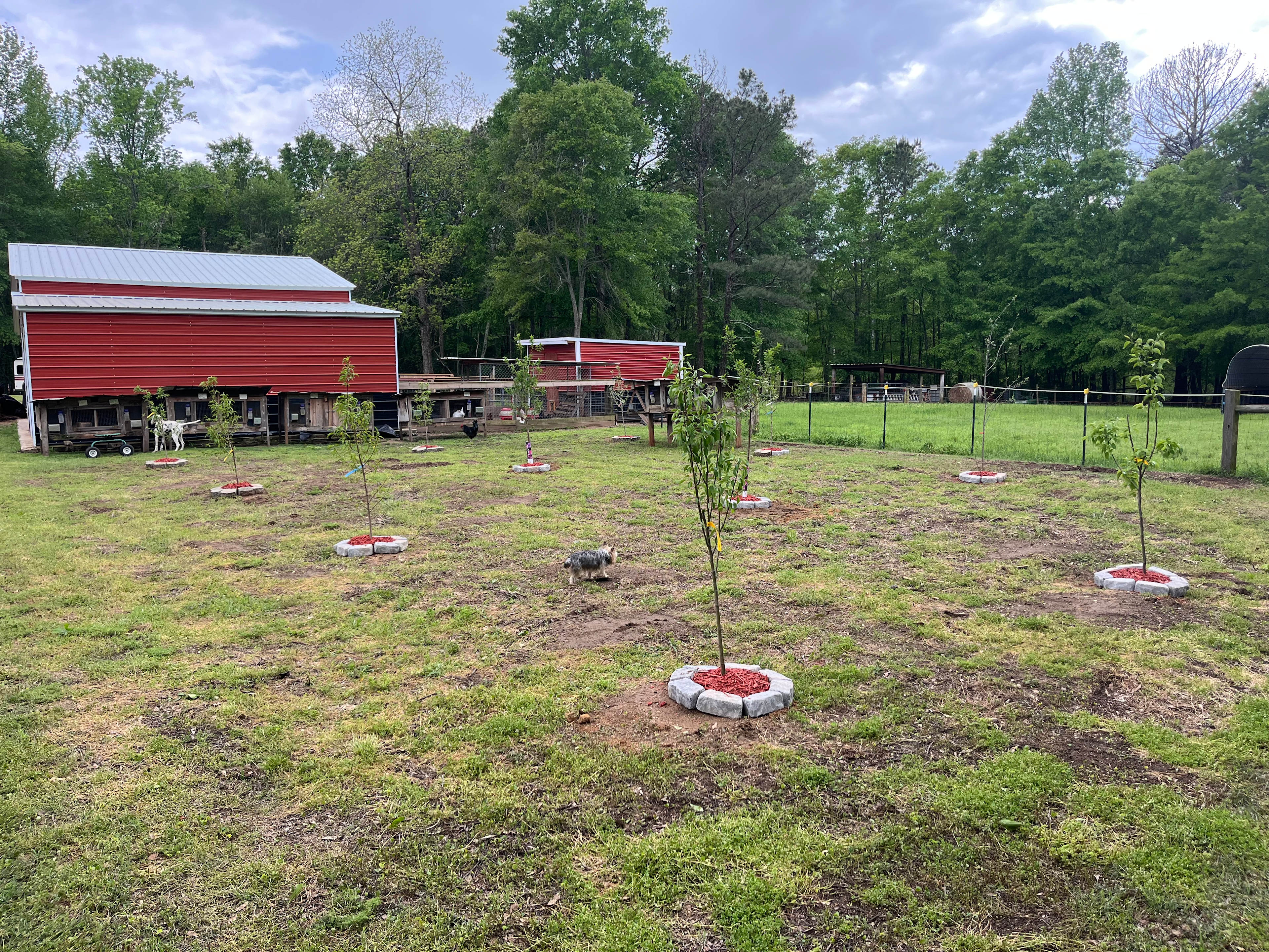 Nu Sunrise Farms
