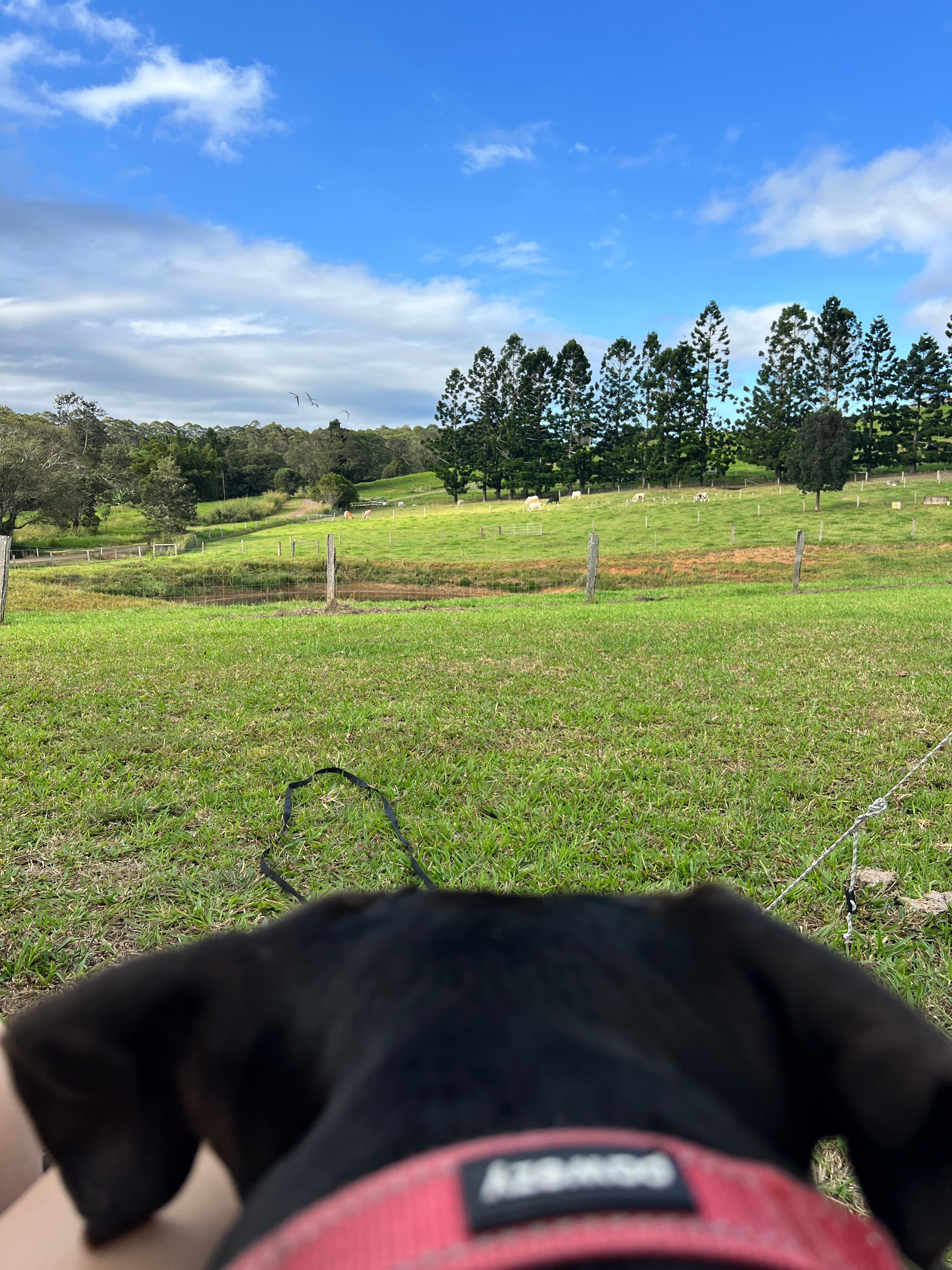 Barrine Farmstay And Camping