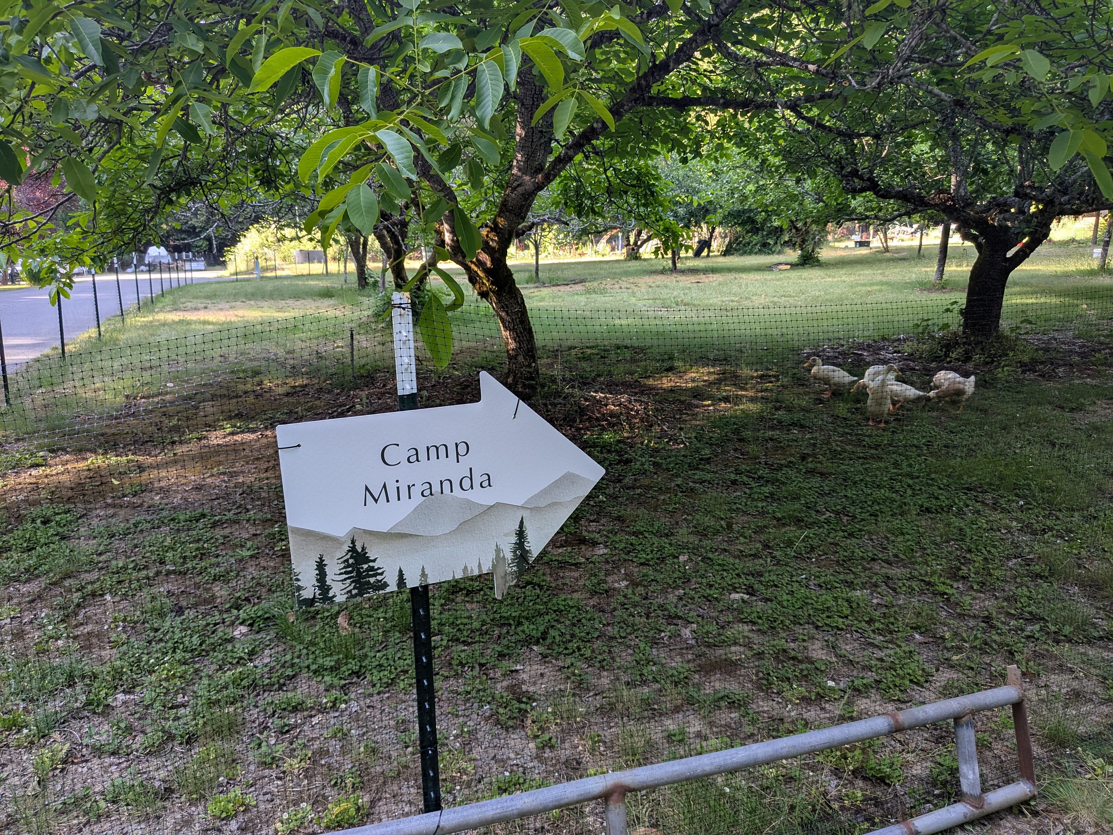 Camp Miranda