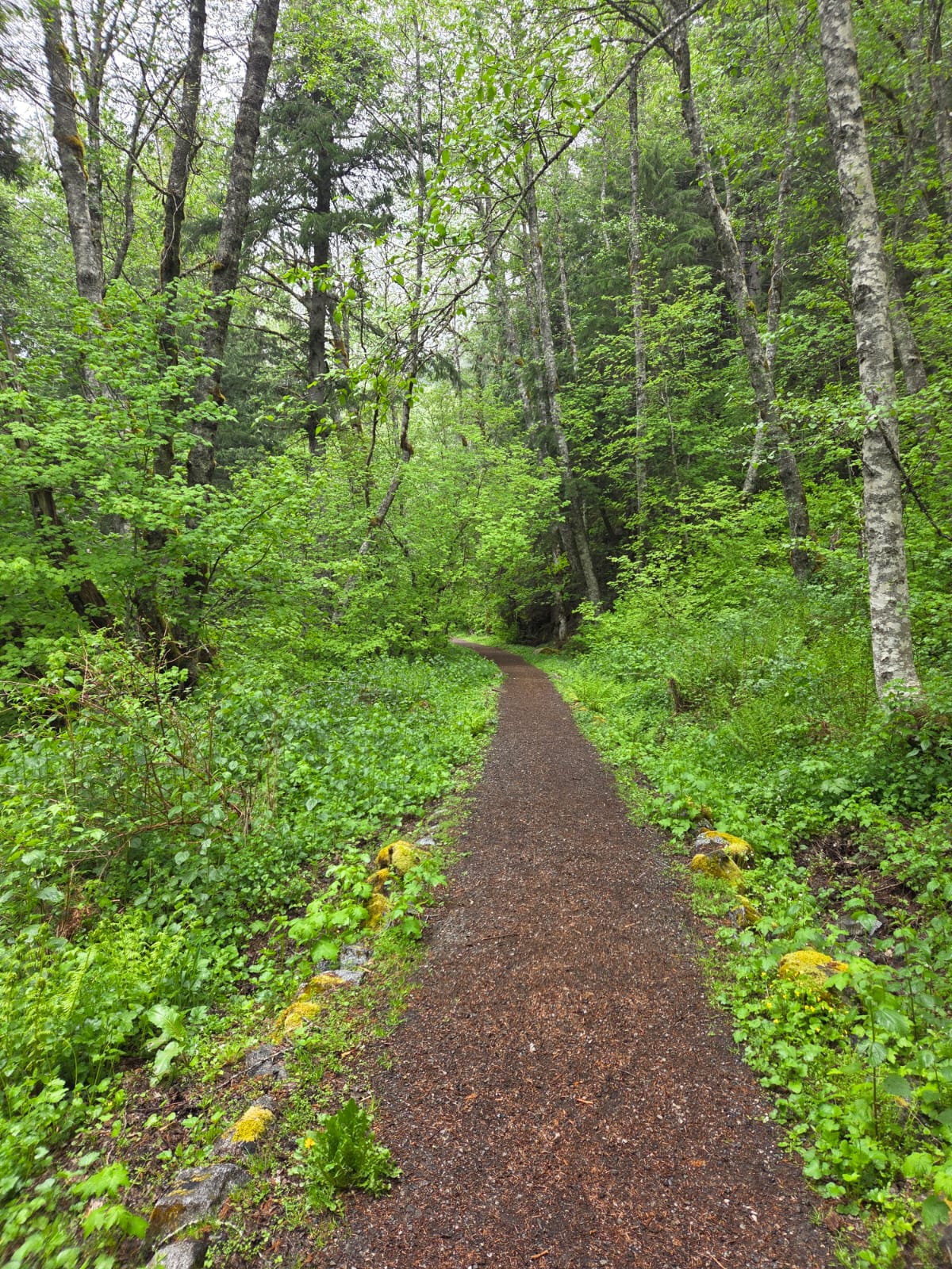 Scenic Cedars Campground