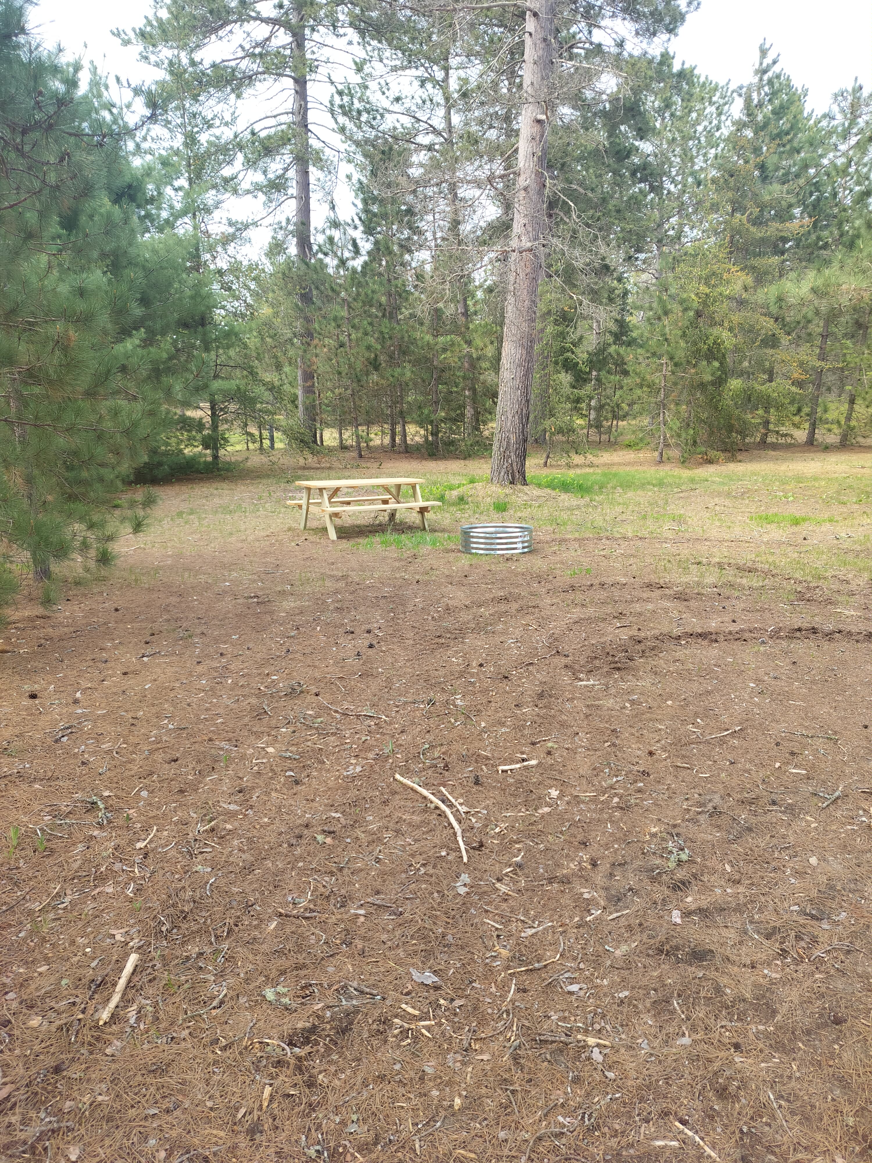 Shivering Timbers Family Campground